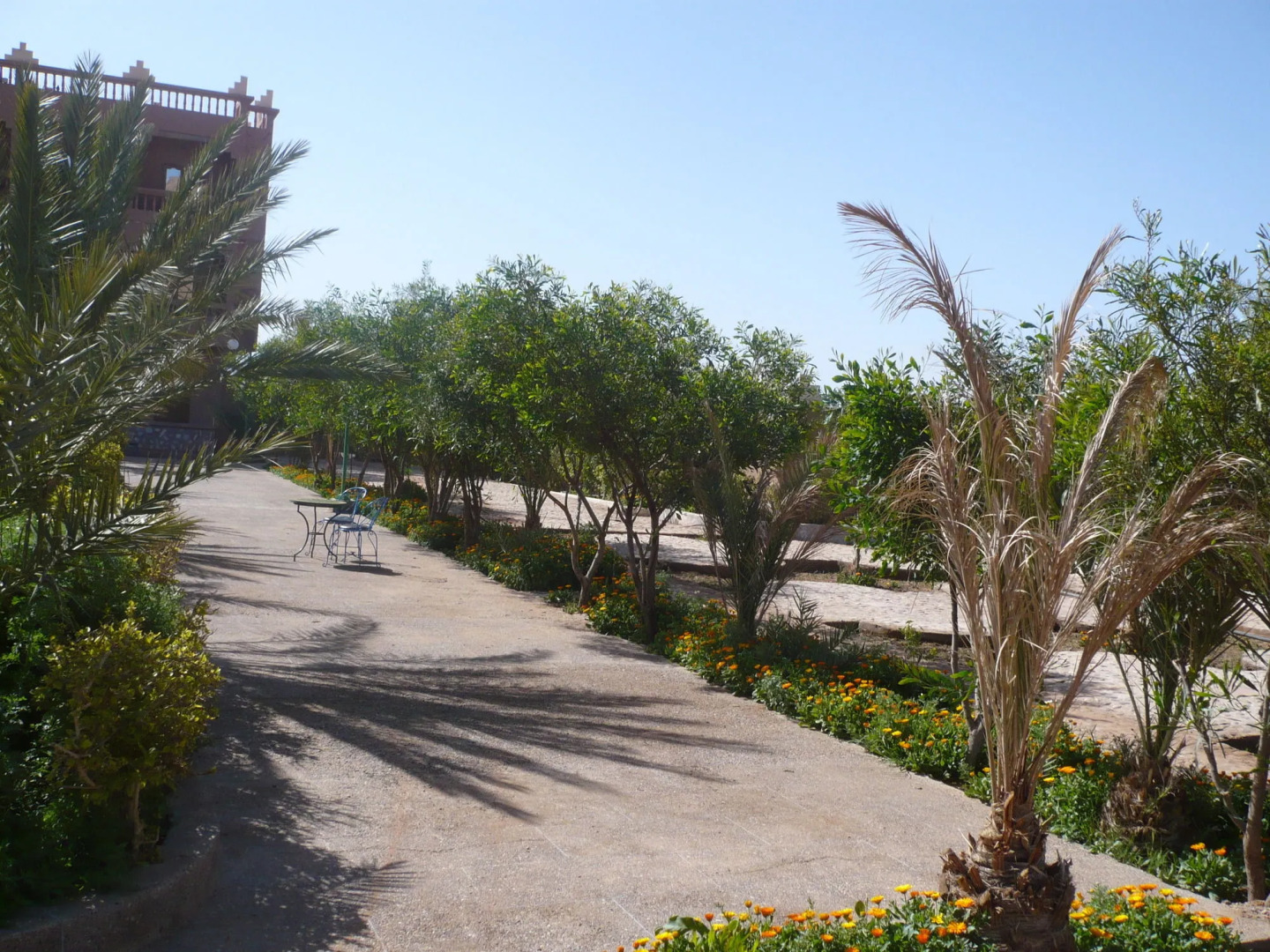 La Perle du Draa Hotel