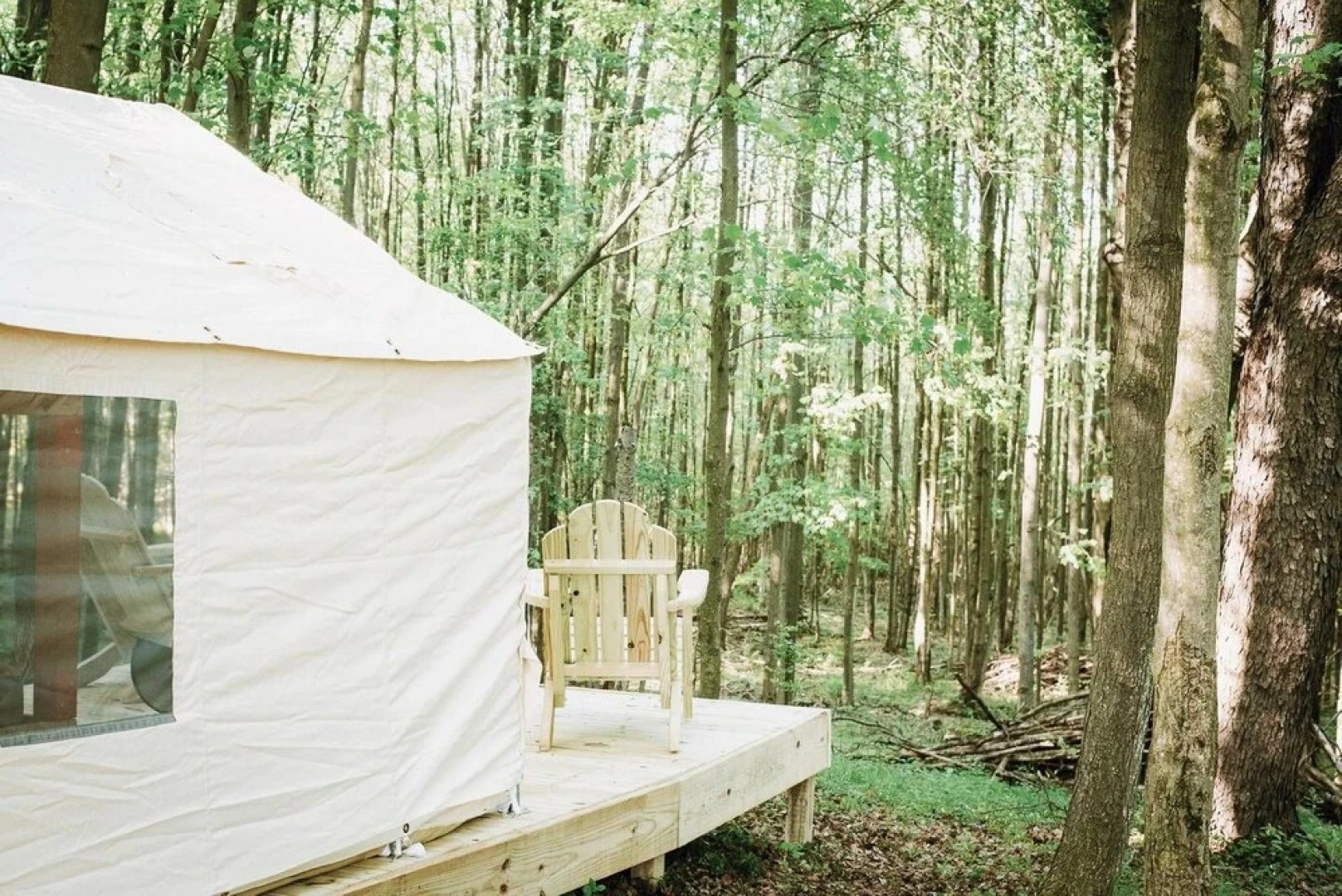 Tentrr â Hollow Tree Camp