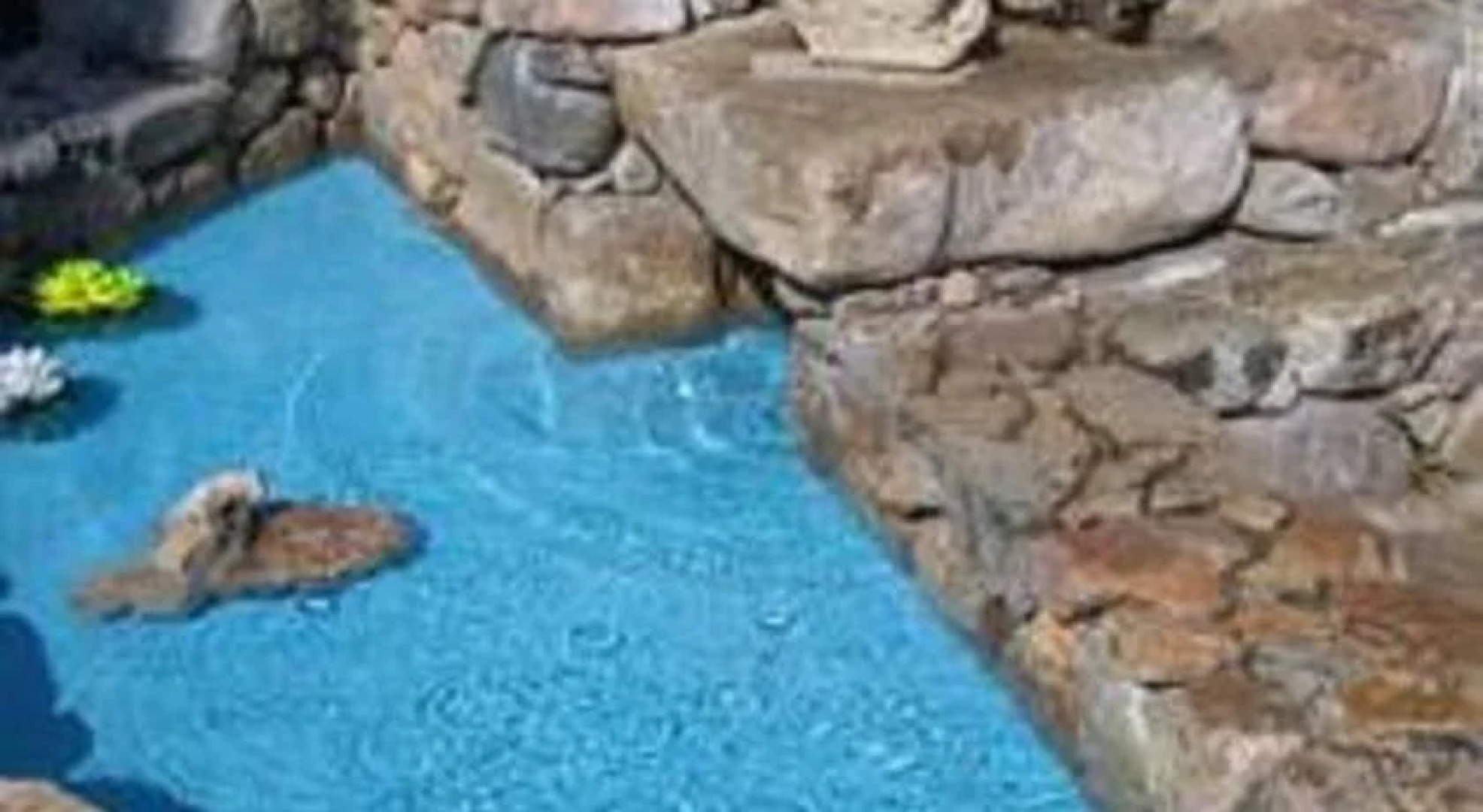 L'Amagatall de cal Tonedor