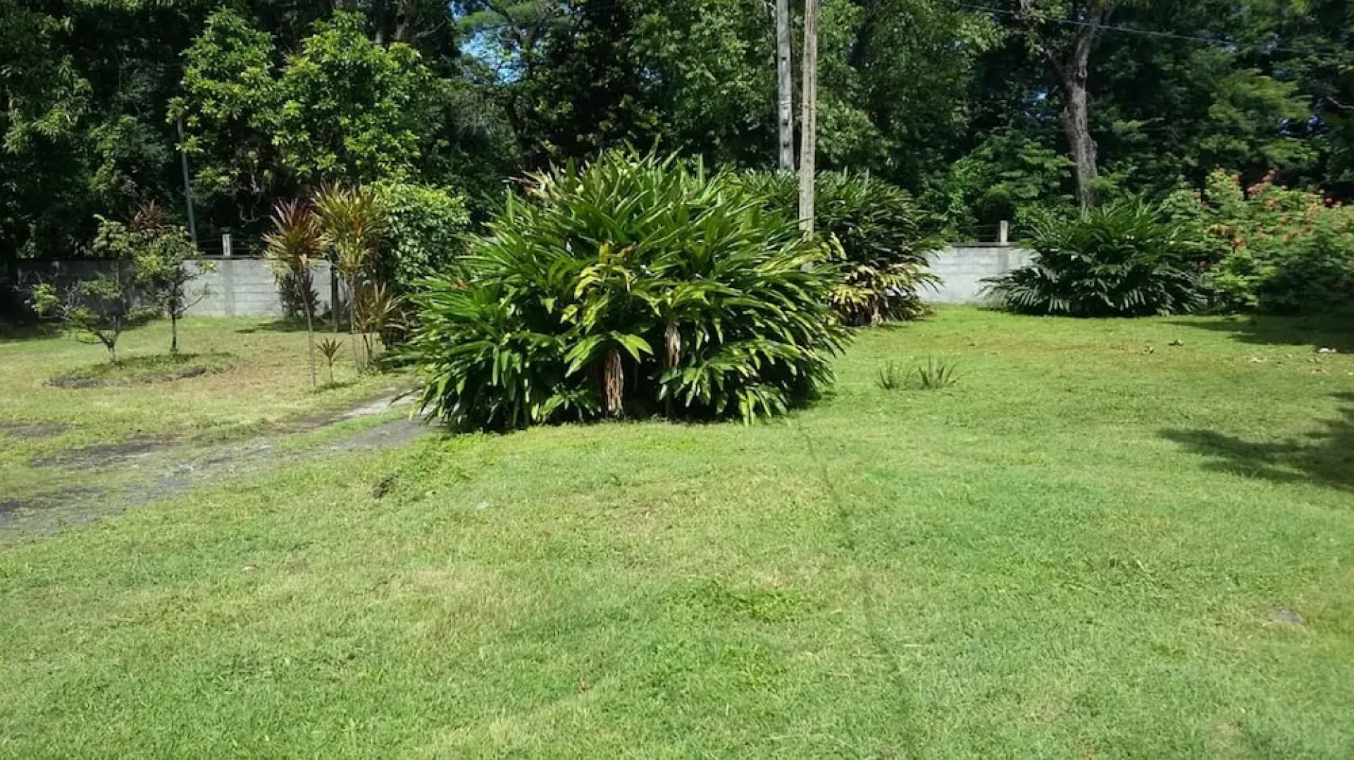 Apartment With 2 Bedrooms in Deshaies , With Enclosed Garden and Wifi