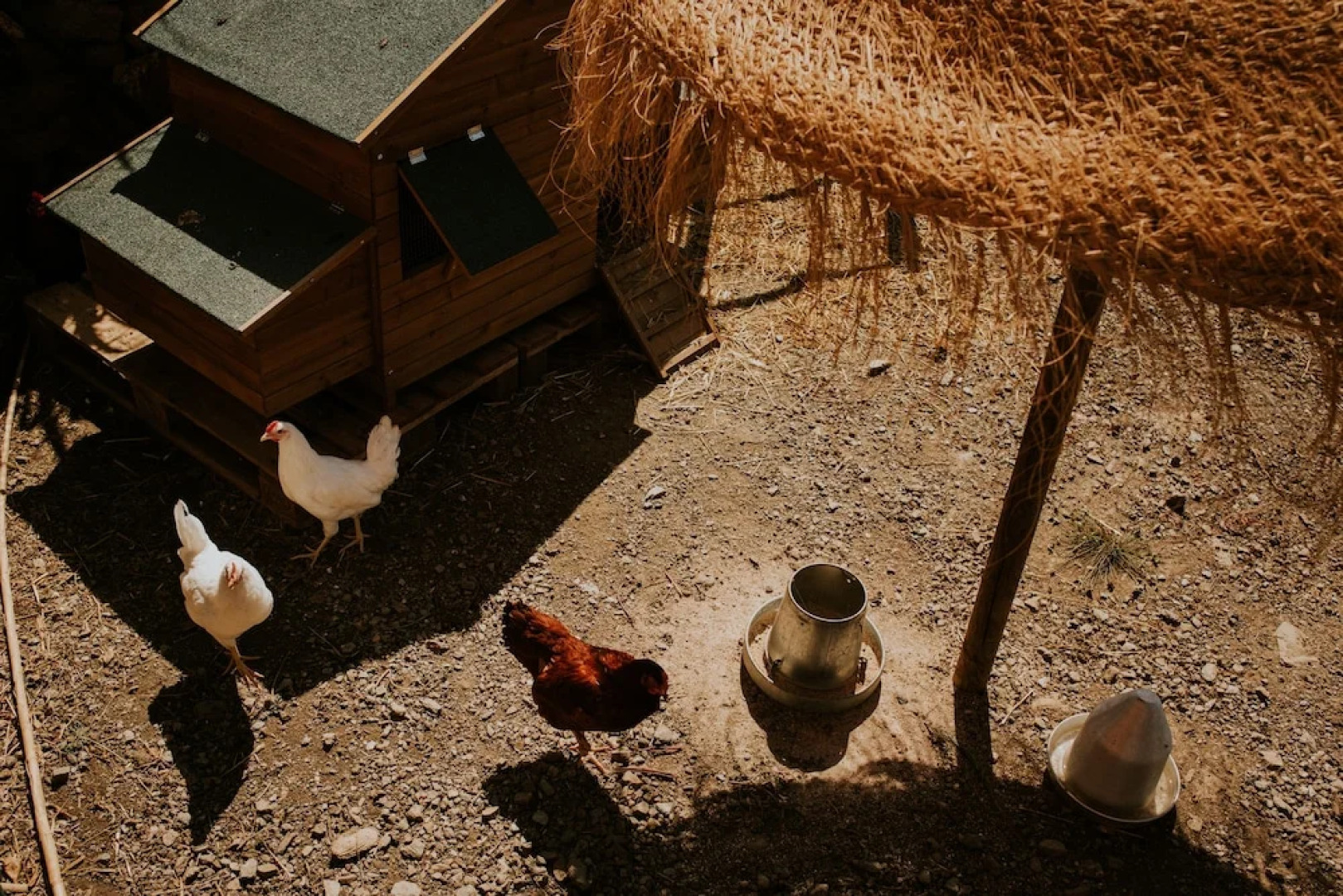 Casa Siempreviva - Adults Recommended