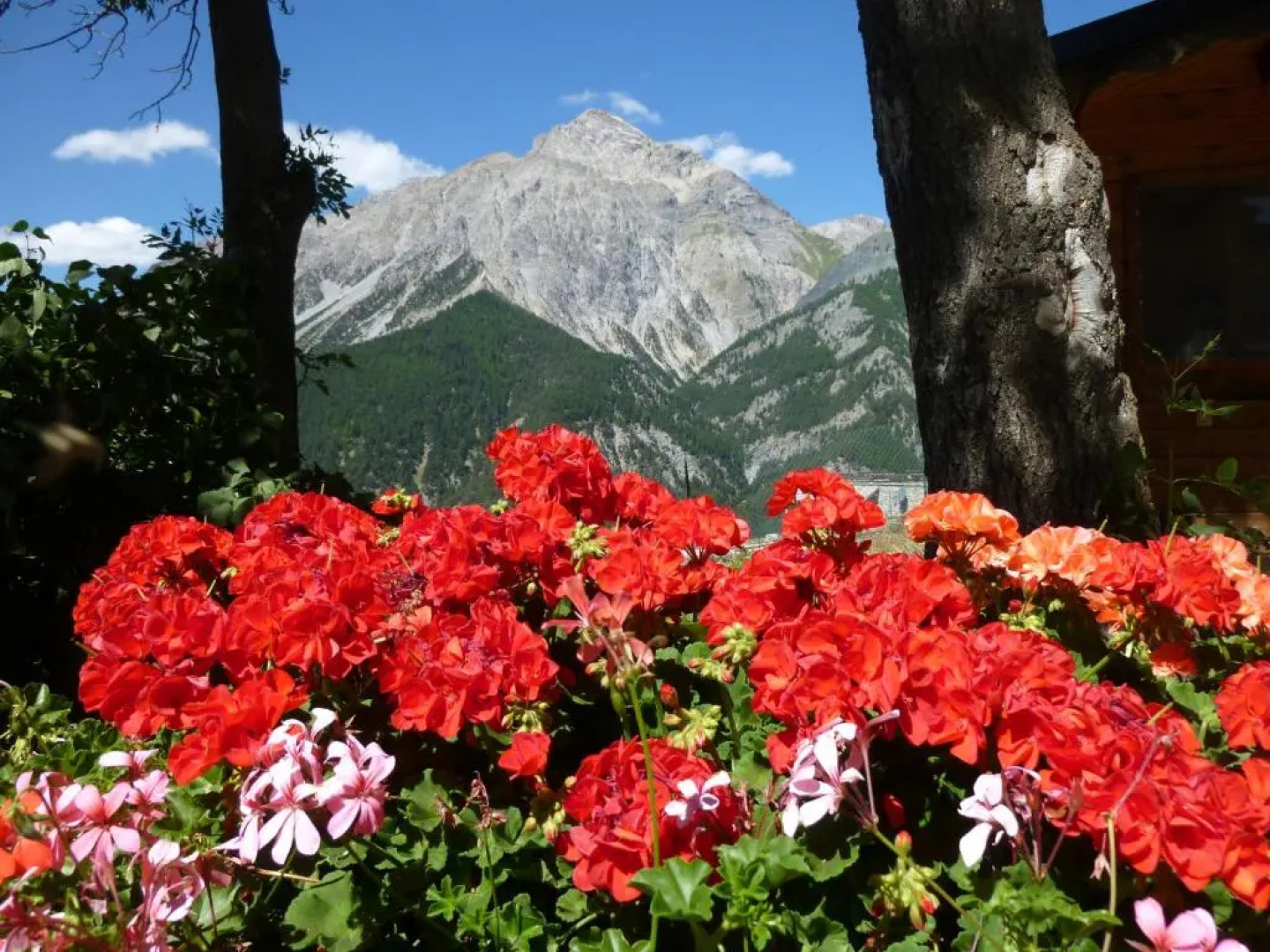 Agriturismo Barba Gust