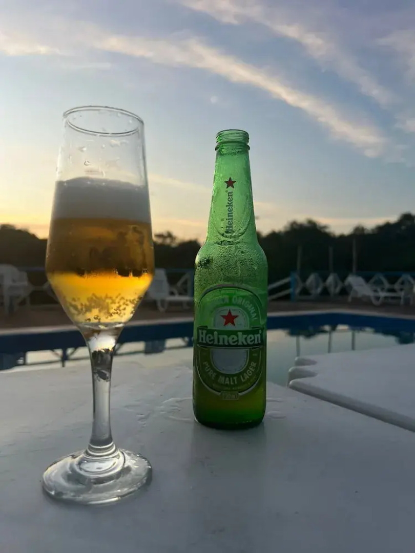 Pedro Alexandre Da Costa