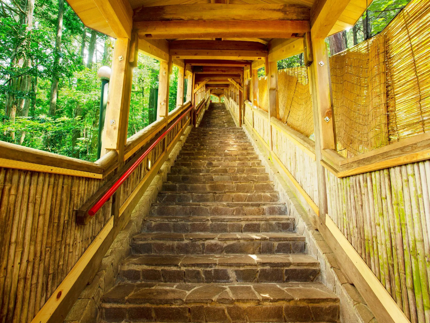 Ooedo Onsen Monogatari Miyoshiya