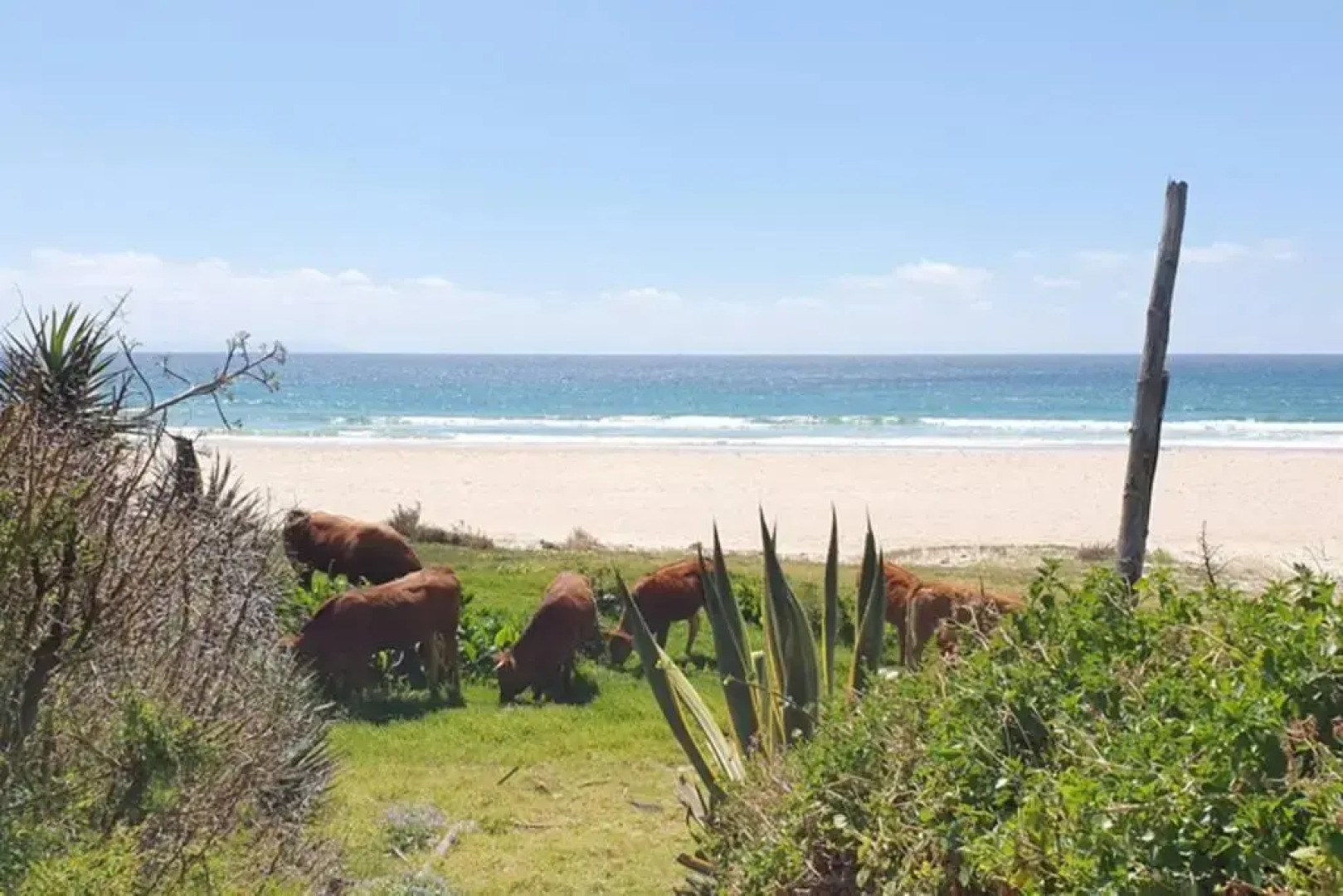 The Beach House - Bolonia
