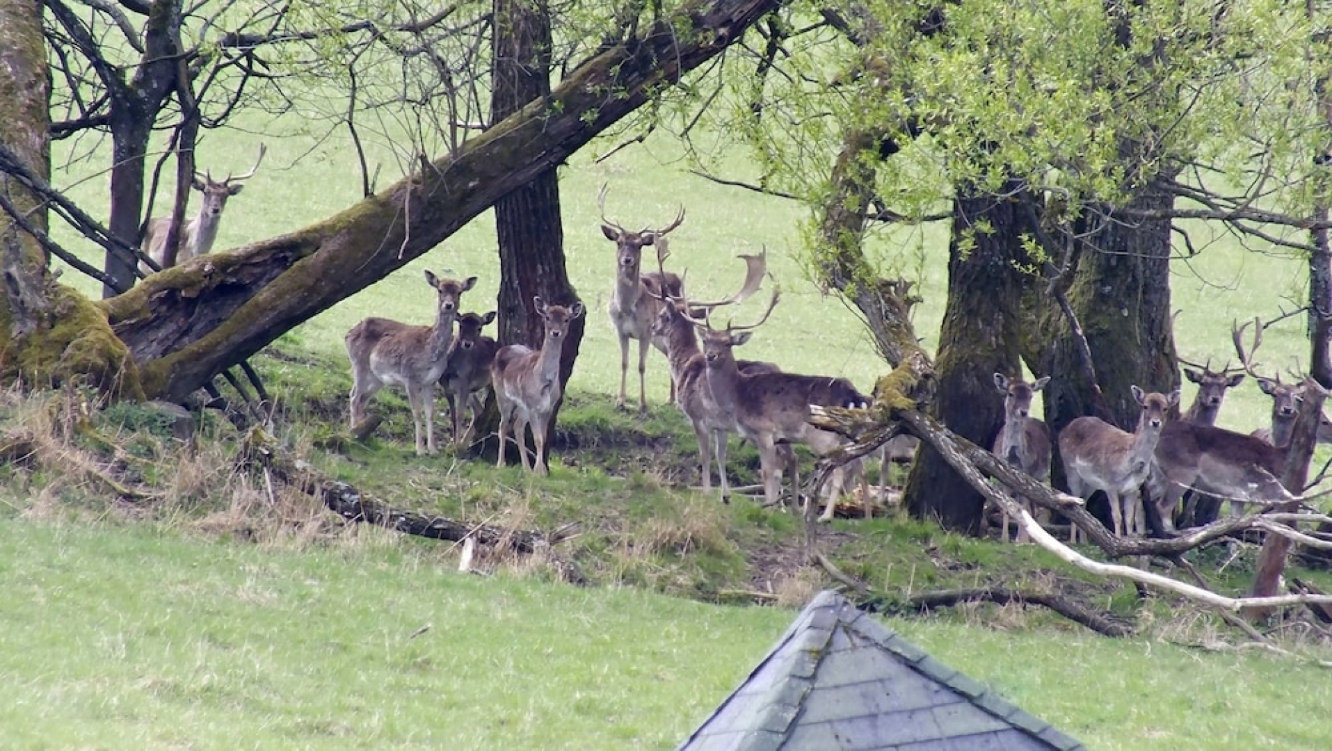 Penzión Štefánik a autocamp Súlov