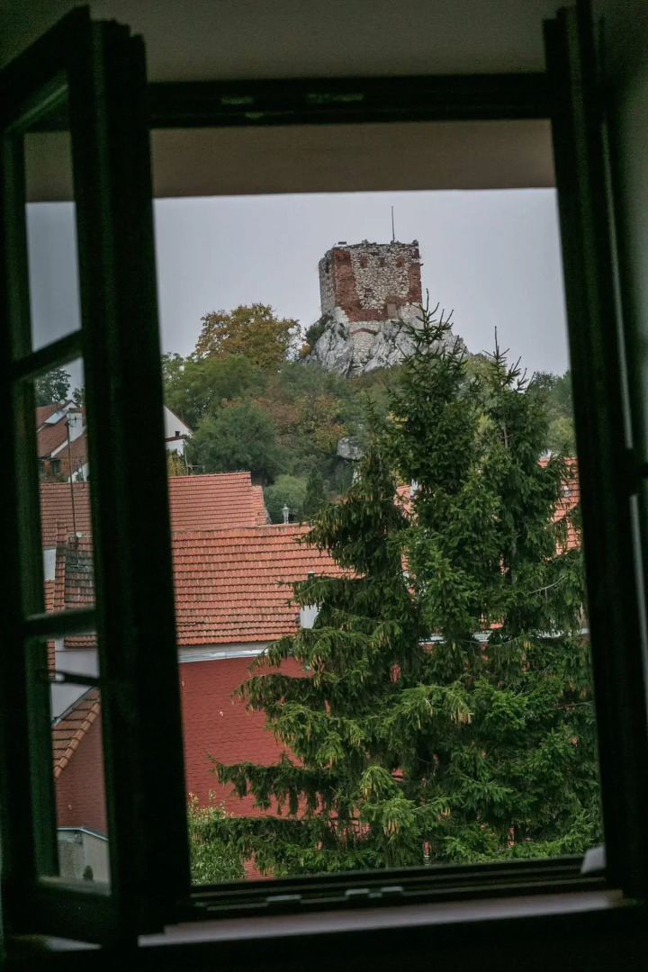 Boutique Hotel Tanzberg