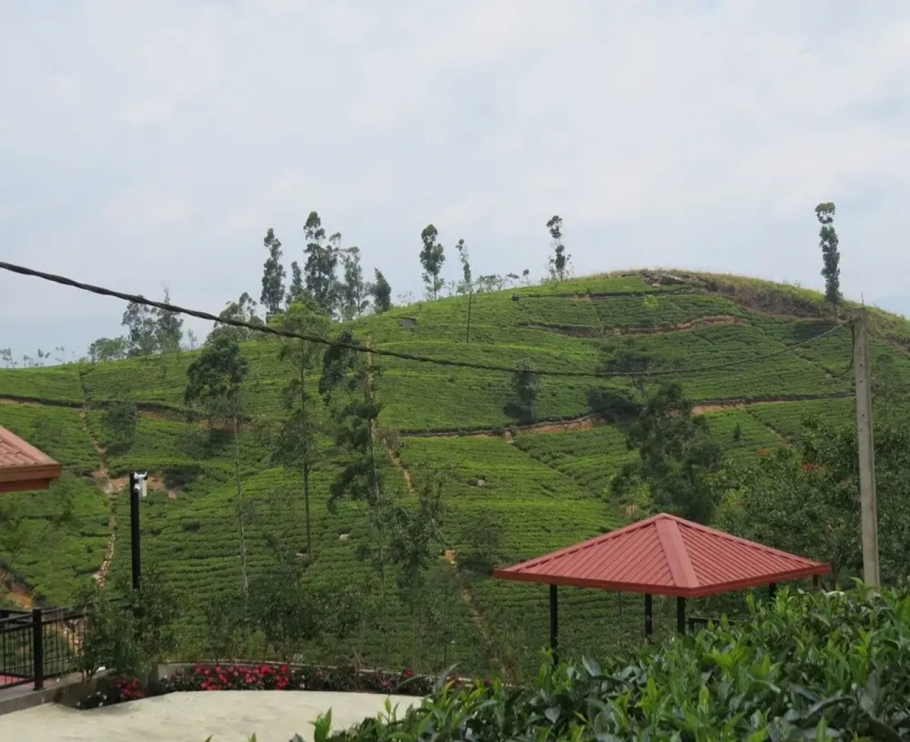 The Harrington Heritage Bungalow