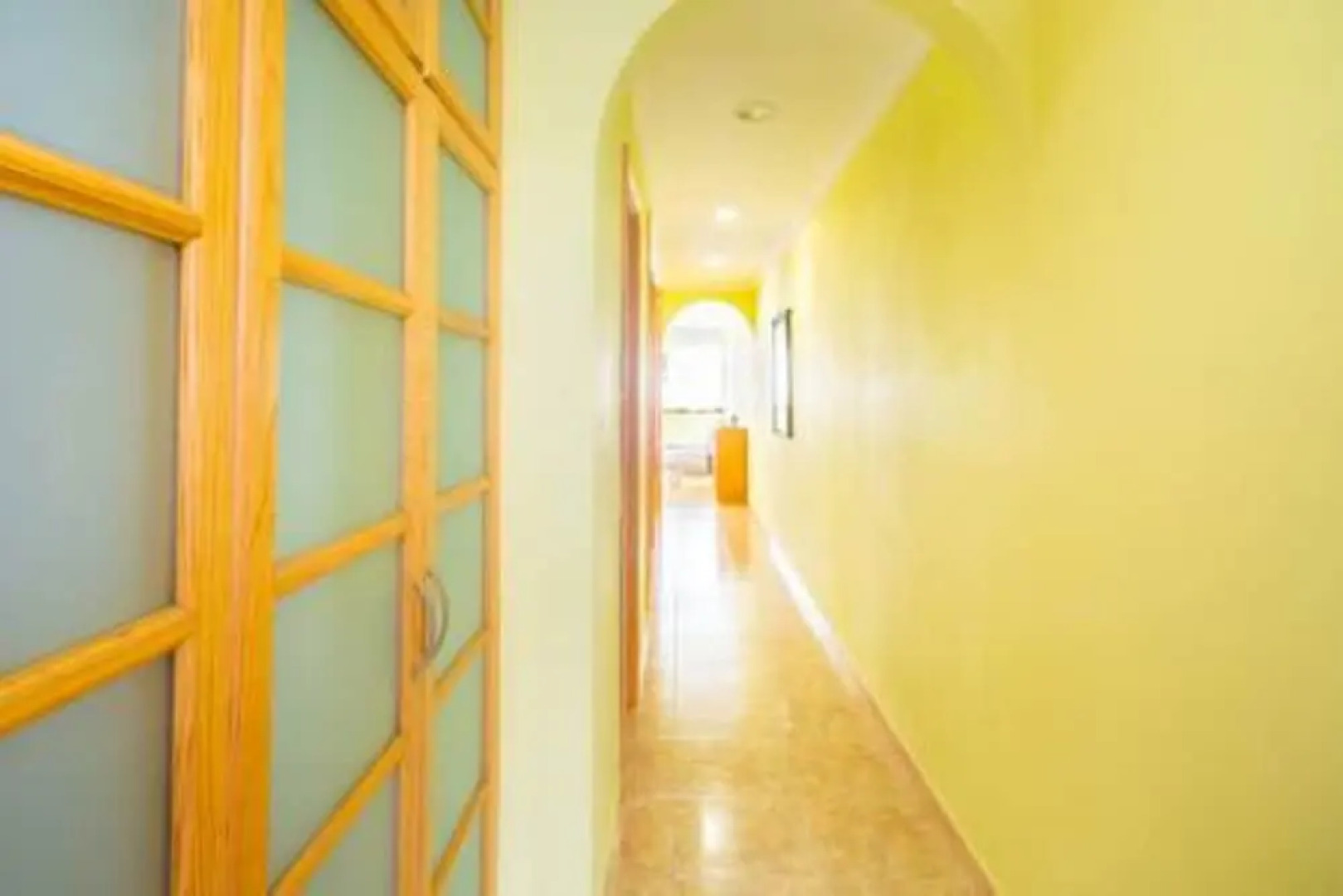 Sea Stars Las Canteras