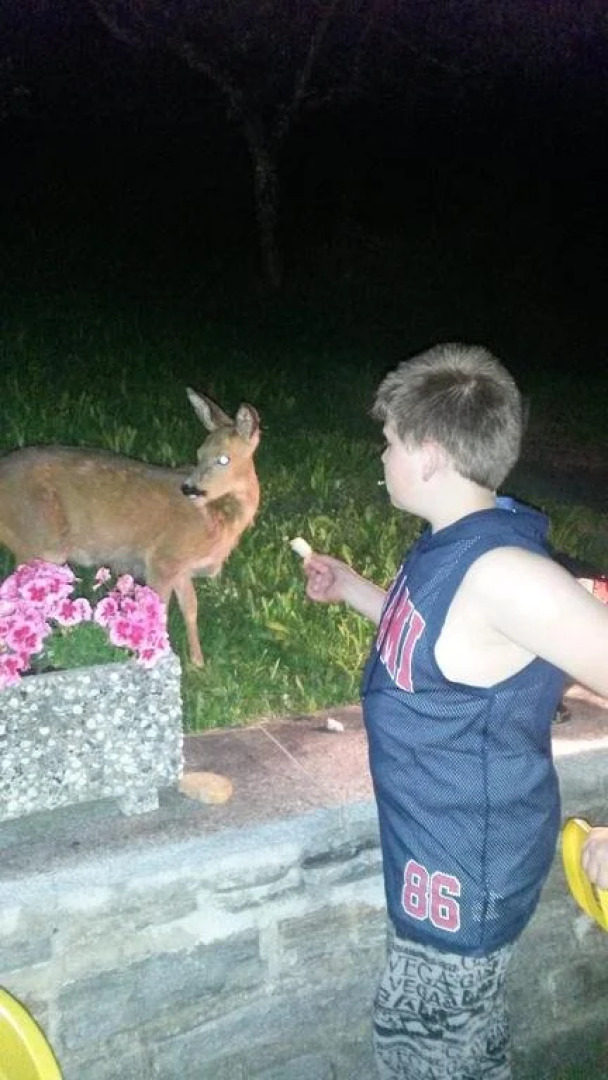 Ristorante Pizzeria La Campagnola