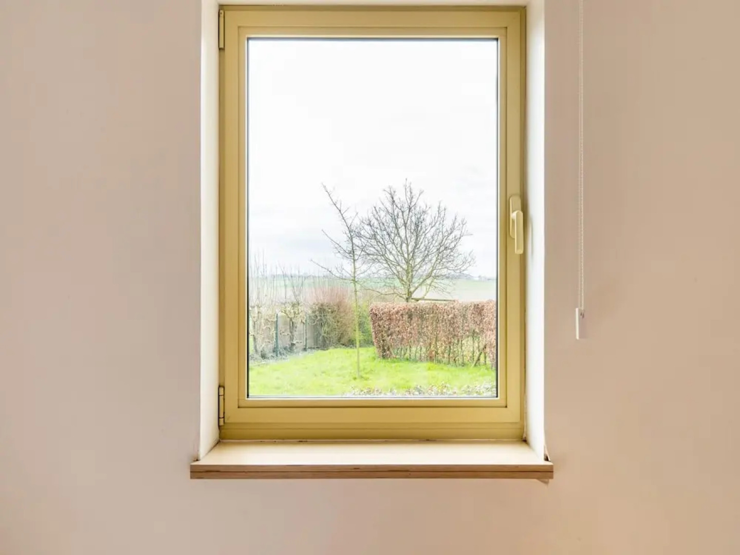 Pet-friendly Retreat