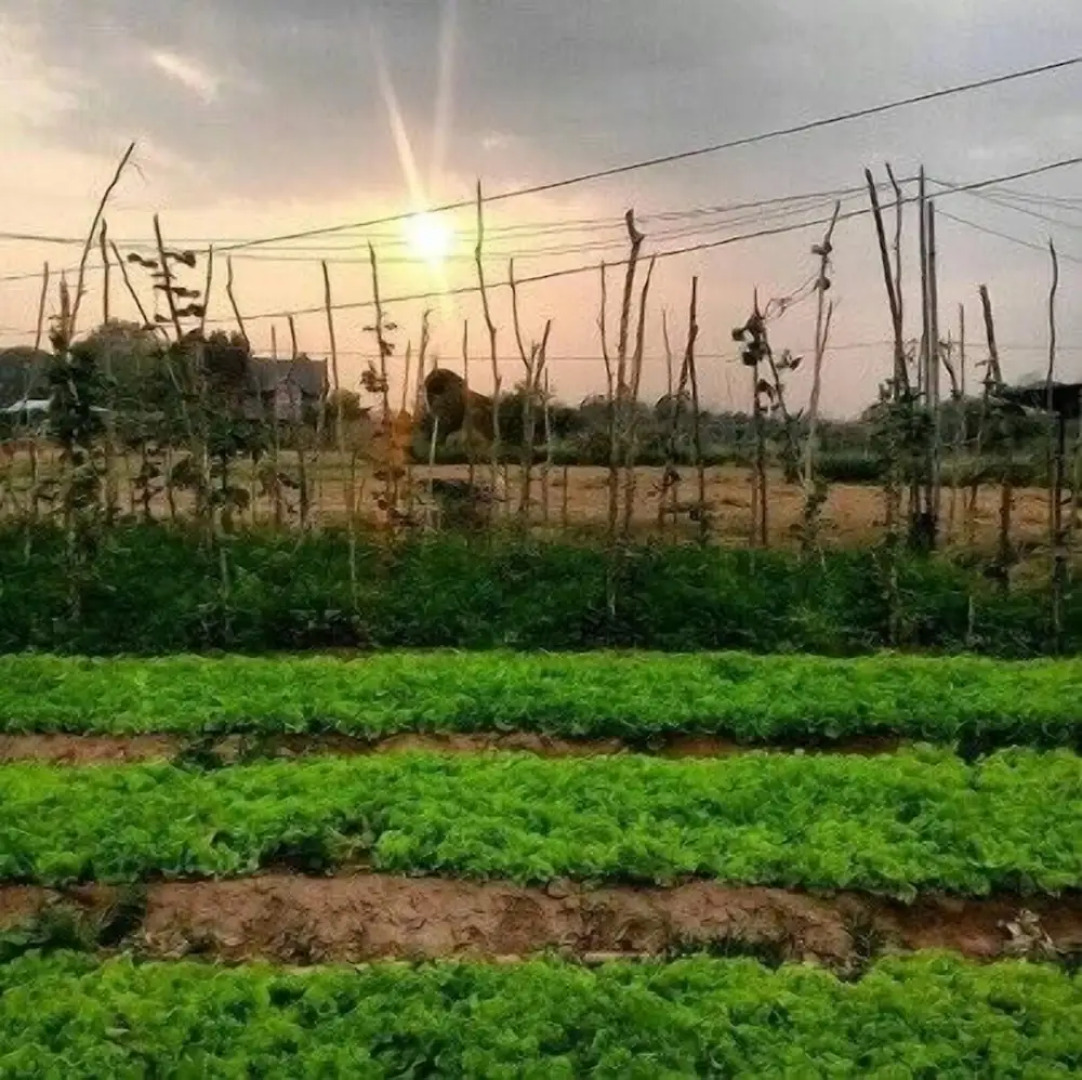 Wangnamkam Riverside Resort