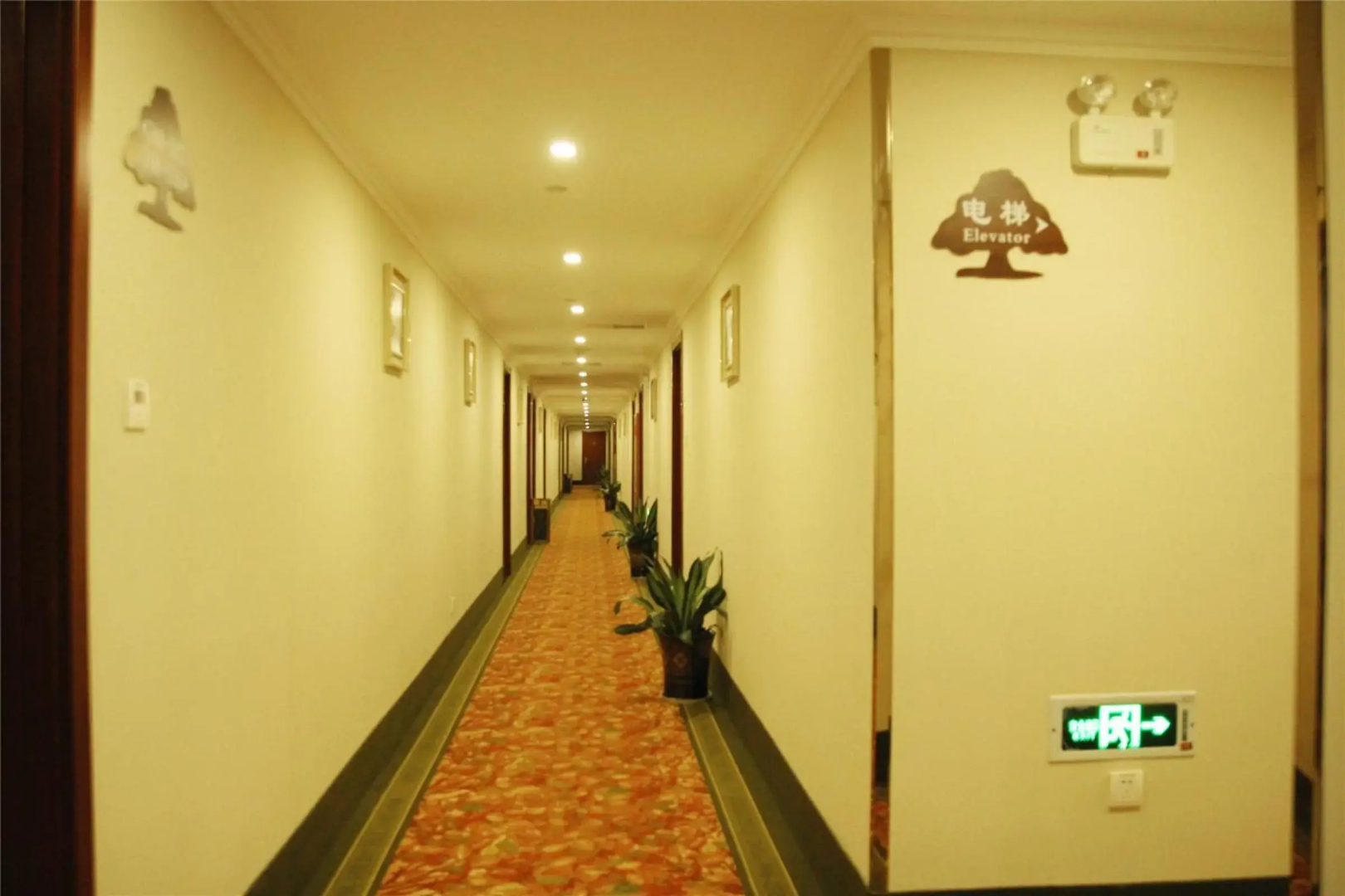 GreenTree Alliance Anhui Chuzhou Middle Qingliu Road Qingliu Bridge Hotel