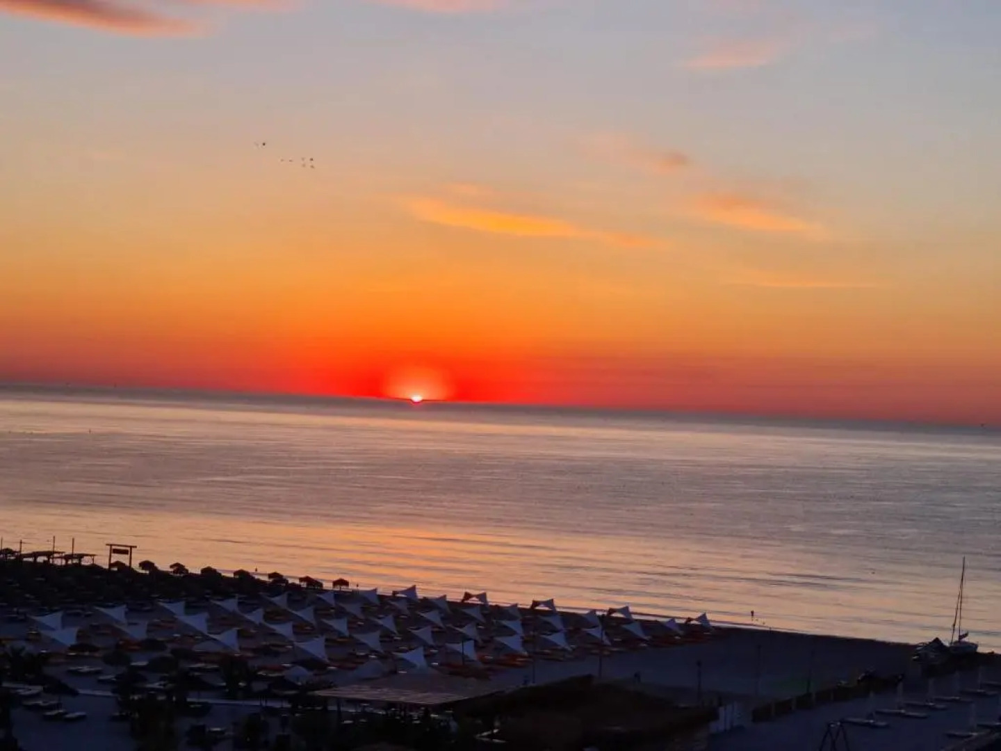 Bluemarina Apartamente