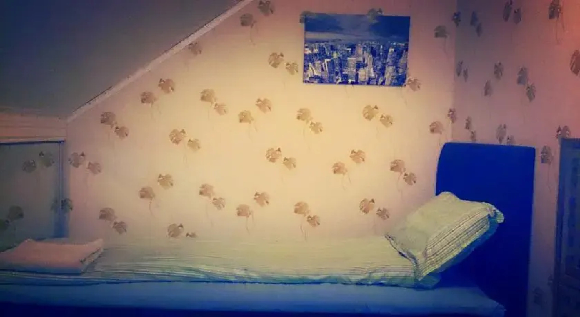 Fjord Panorama with its 222 Peaks