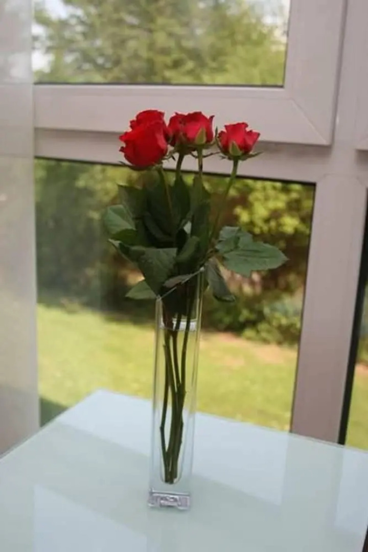 Hotel Restaurant Fasanerie