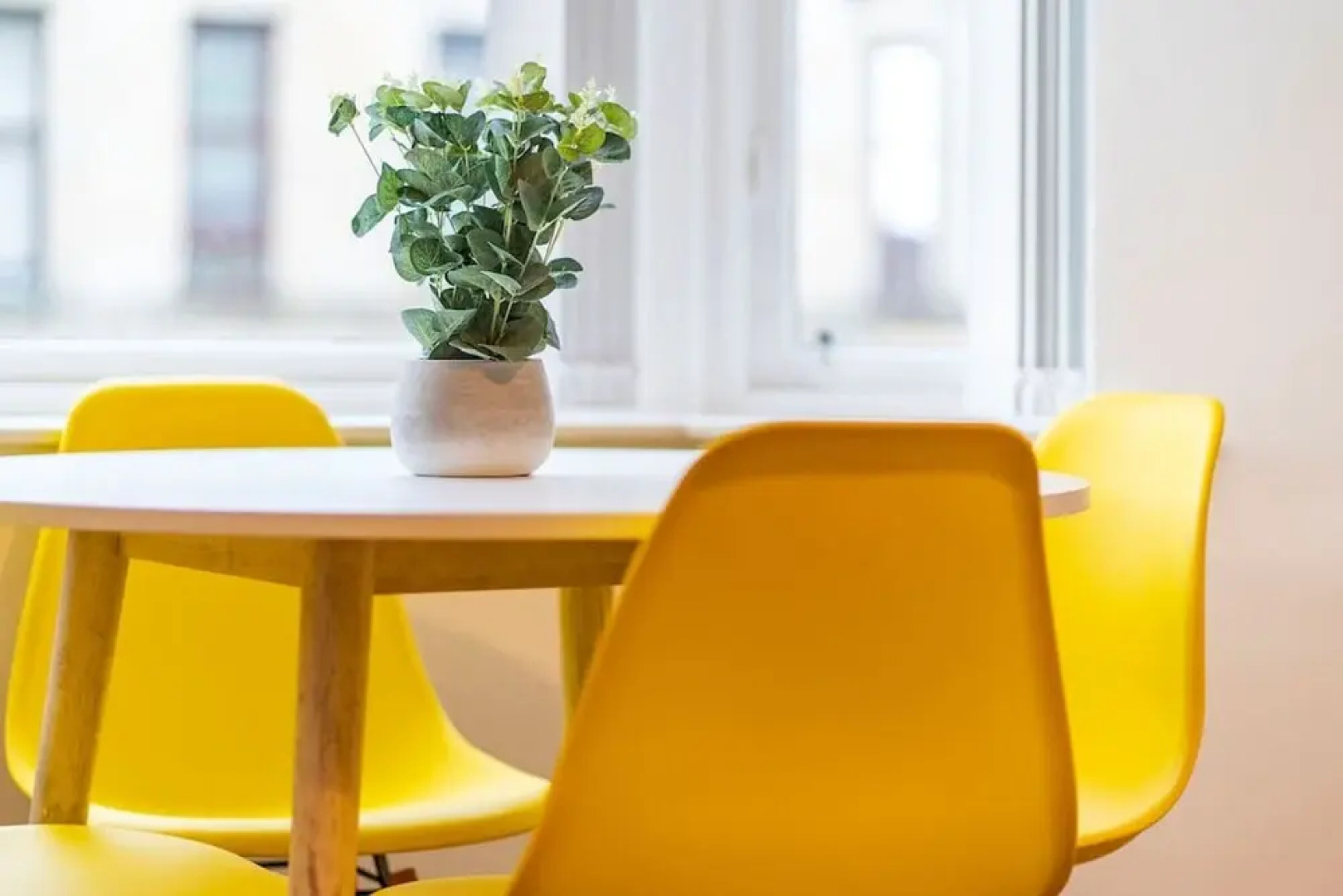 Dunn Street Apartment