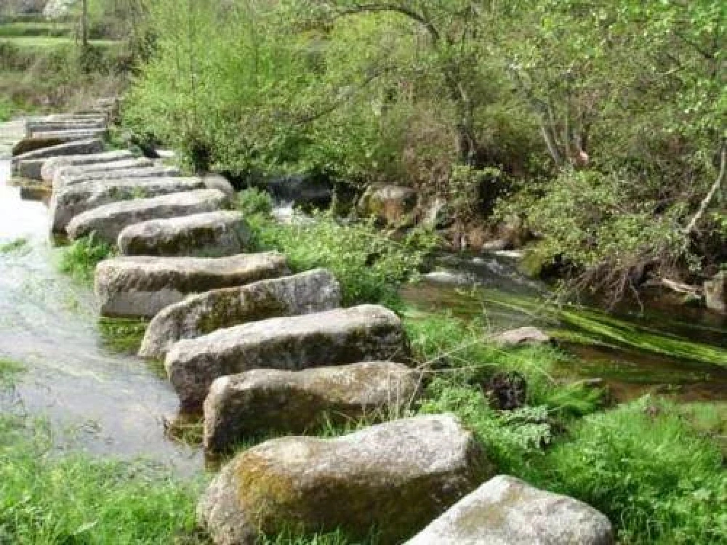 Quinta do Lagar da Moira