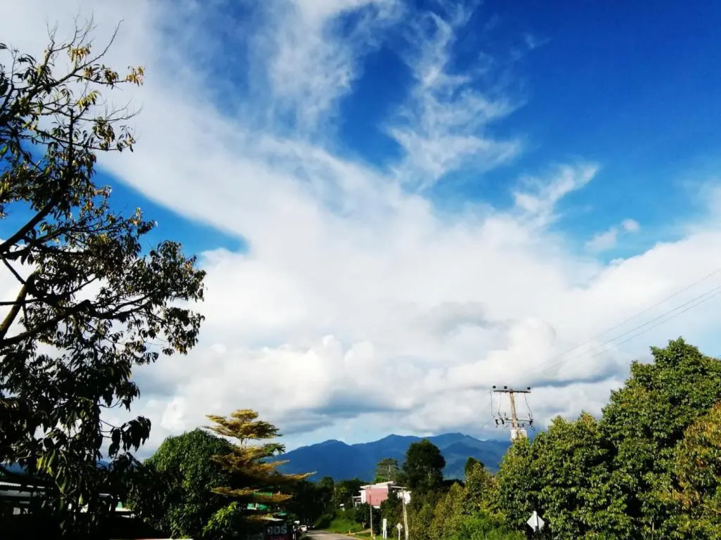 Wilderness Mountain View
