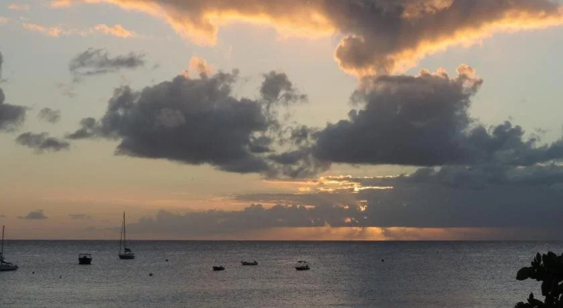 Nautilus Beach Apartments