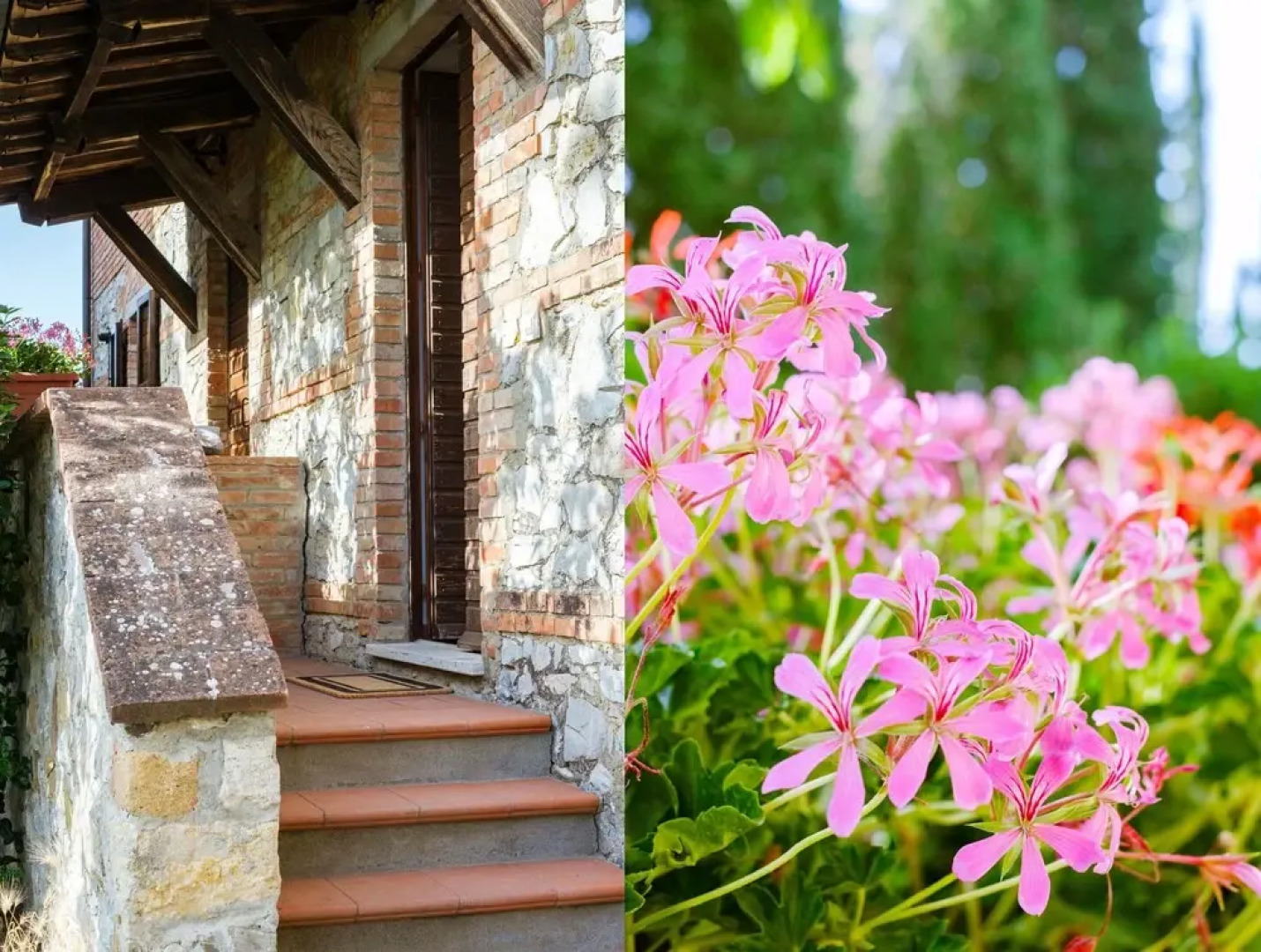 Agriturismo Cavalierino