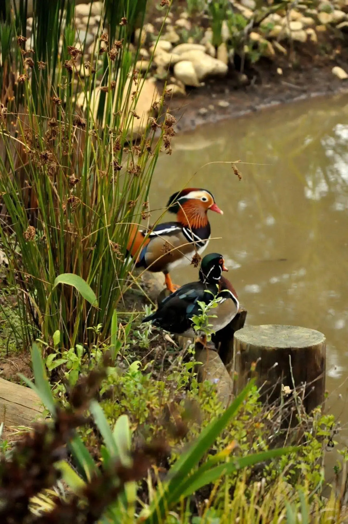 Woodlands Self Catering, Knysna