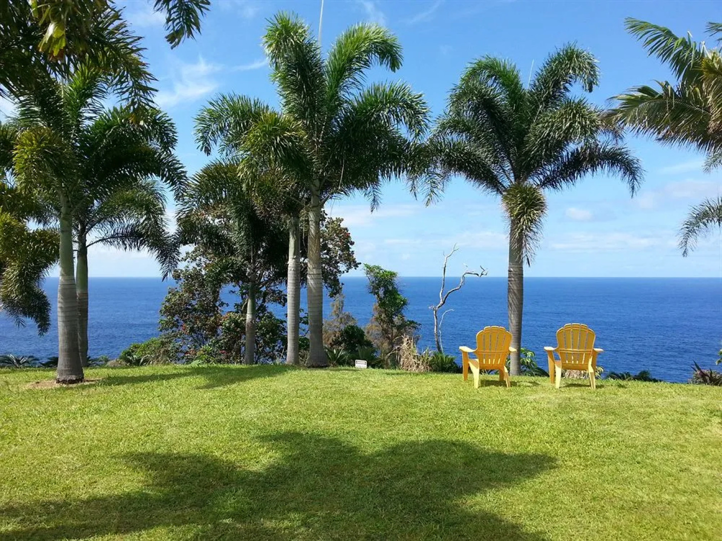 Oceanfront Vacation Rental