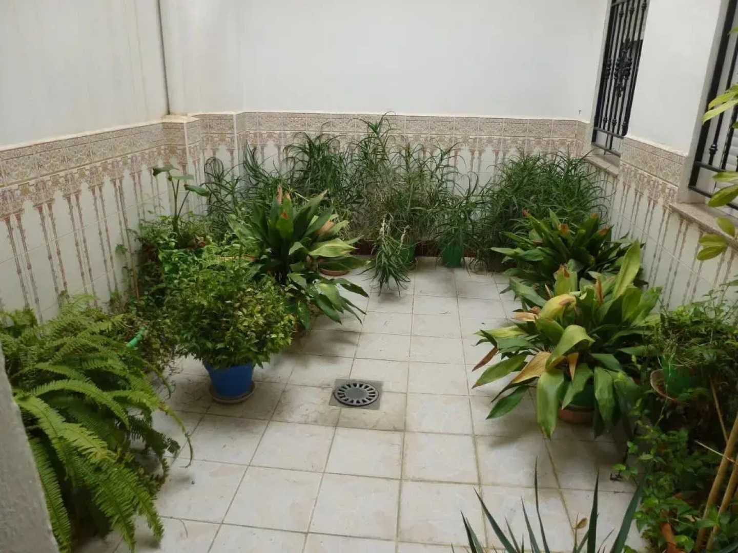 Hotel Ciudad de Pozo Alcón