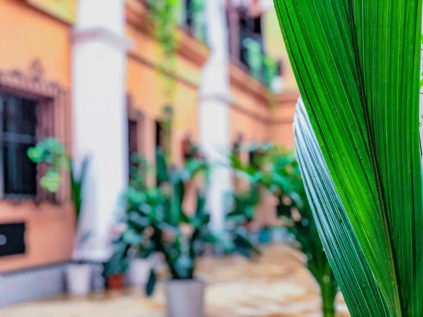 Alojamiento Rural Flamingo