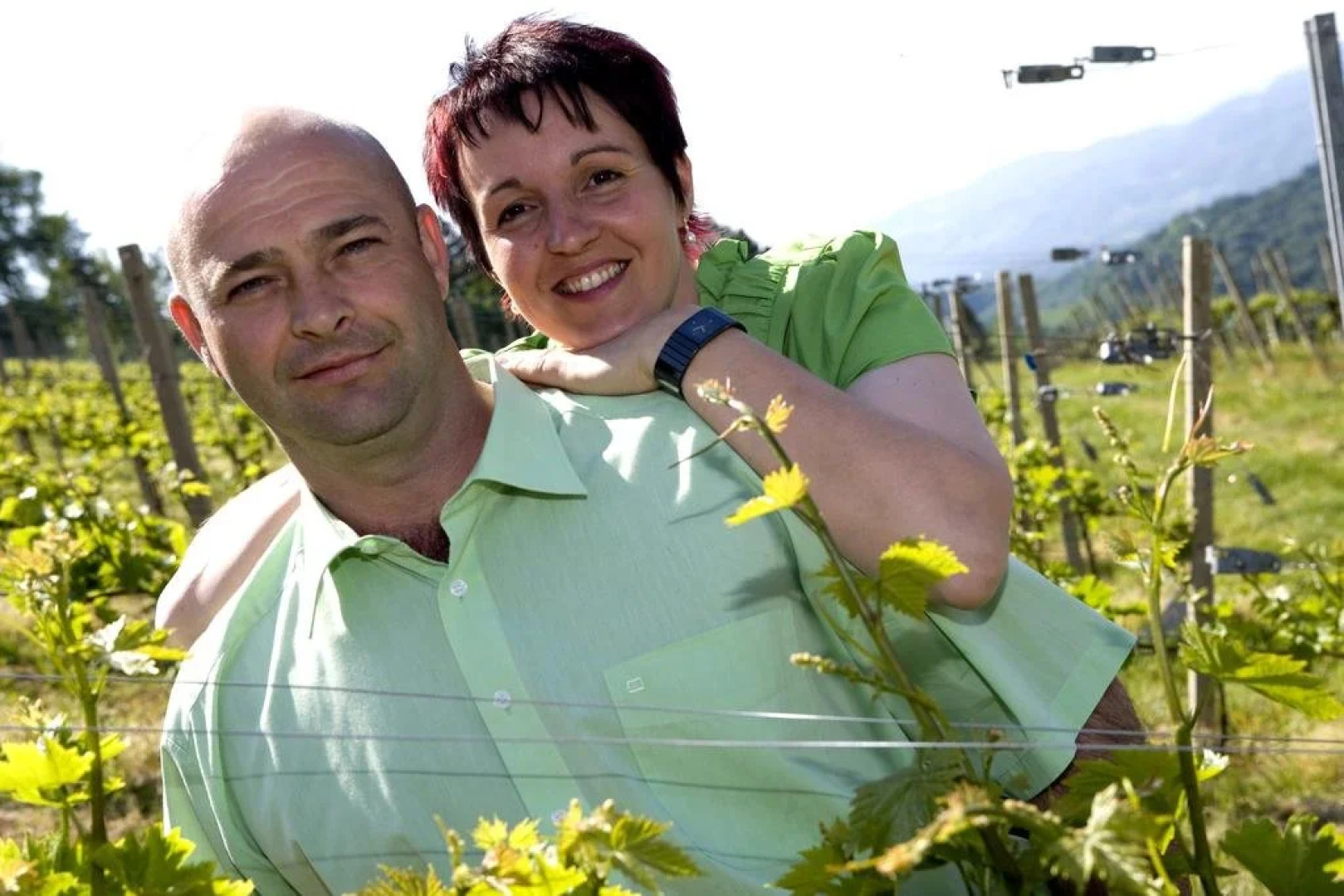 Weinbau Amandus Adam