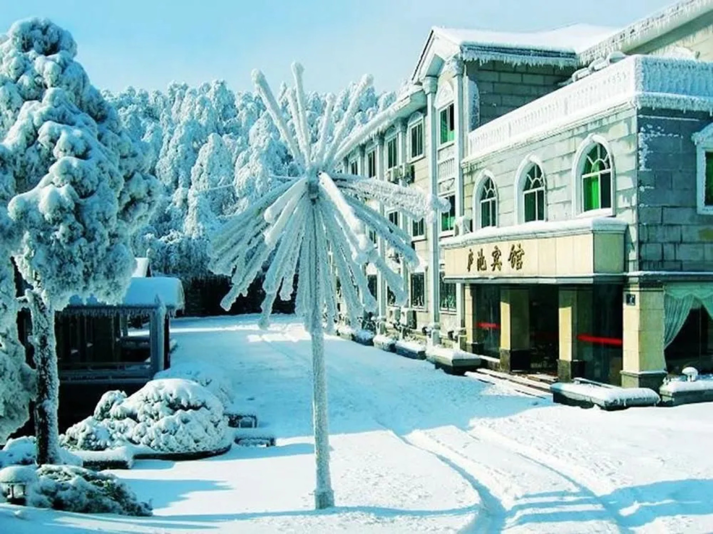 Lu Chi Hotel - Lushan