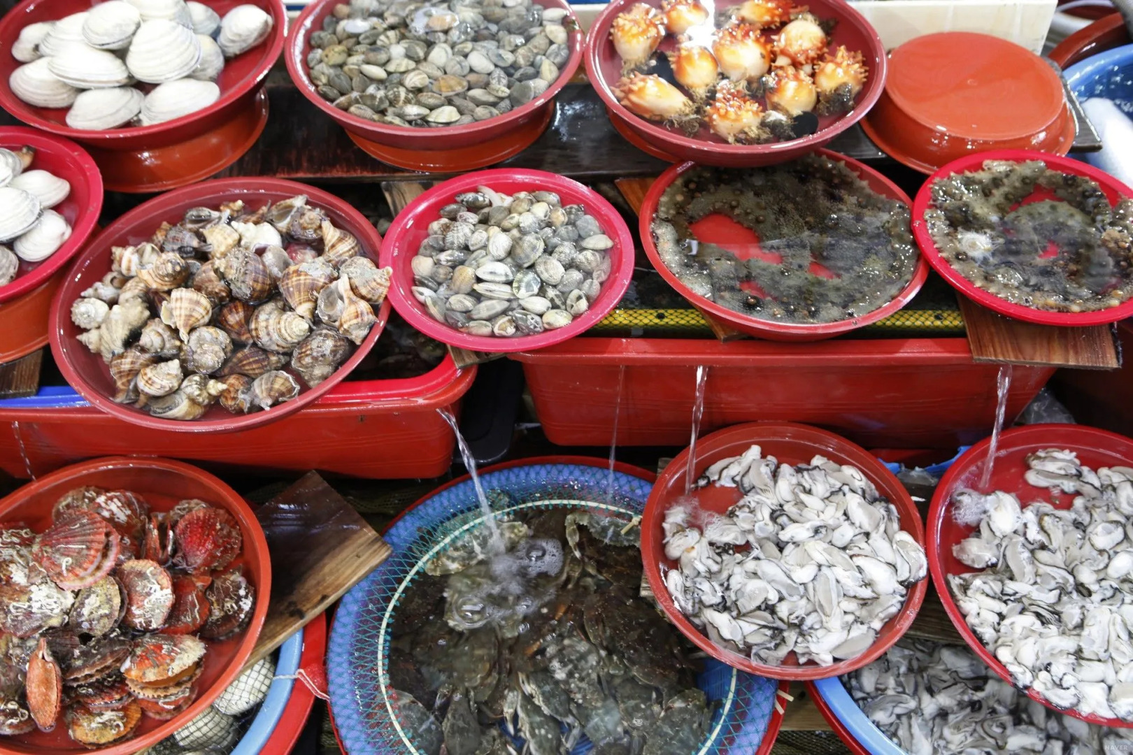 Tongyeong Anchovy tourist Hotel