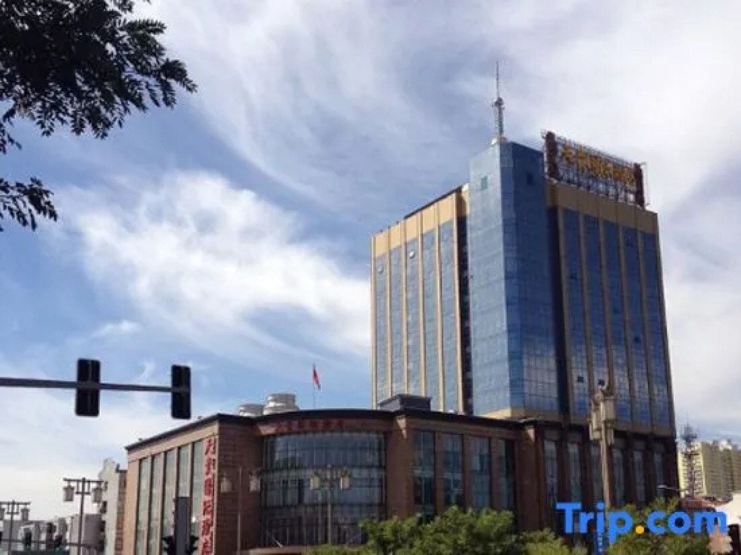 Tiangui International