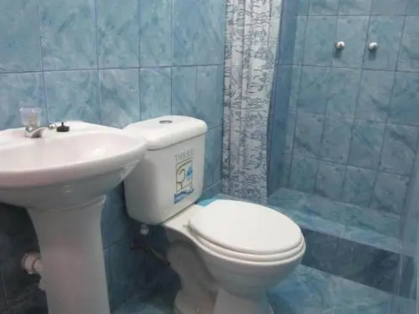 Backpacker The Adventurer