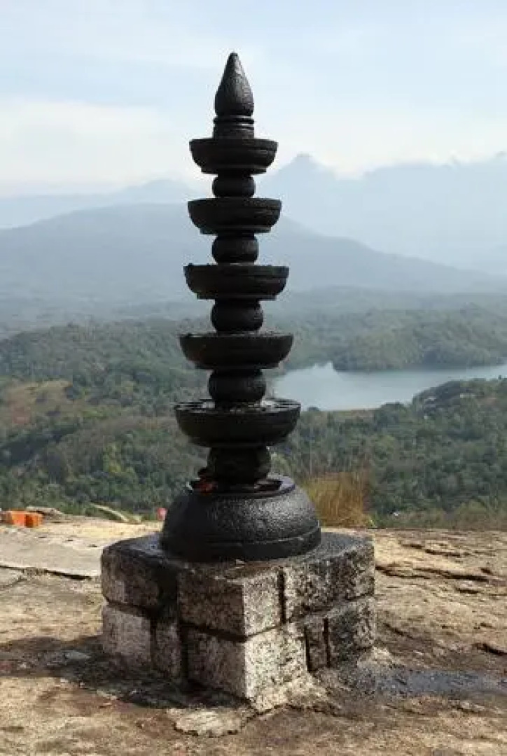 Bio Veda Ayurvedic Hill resort