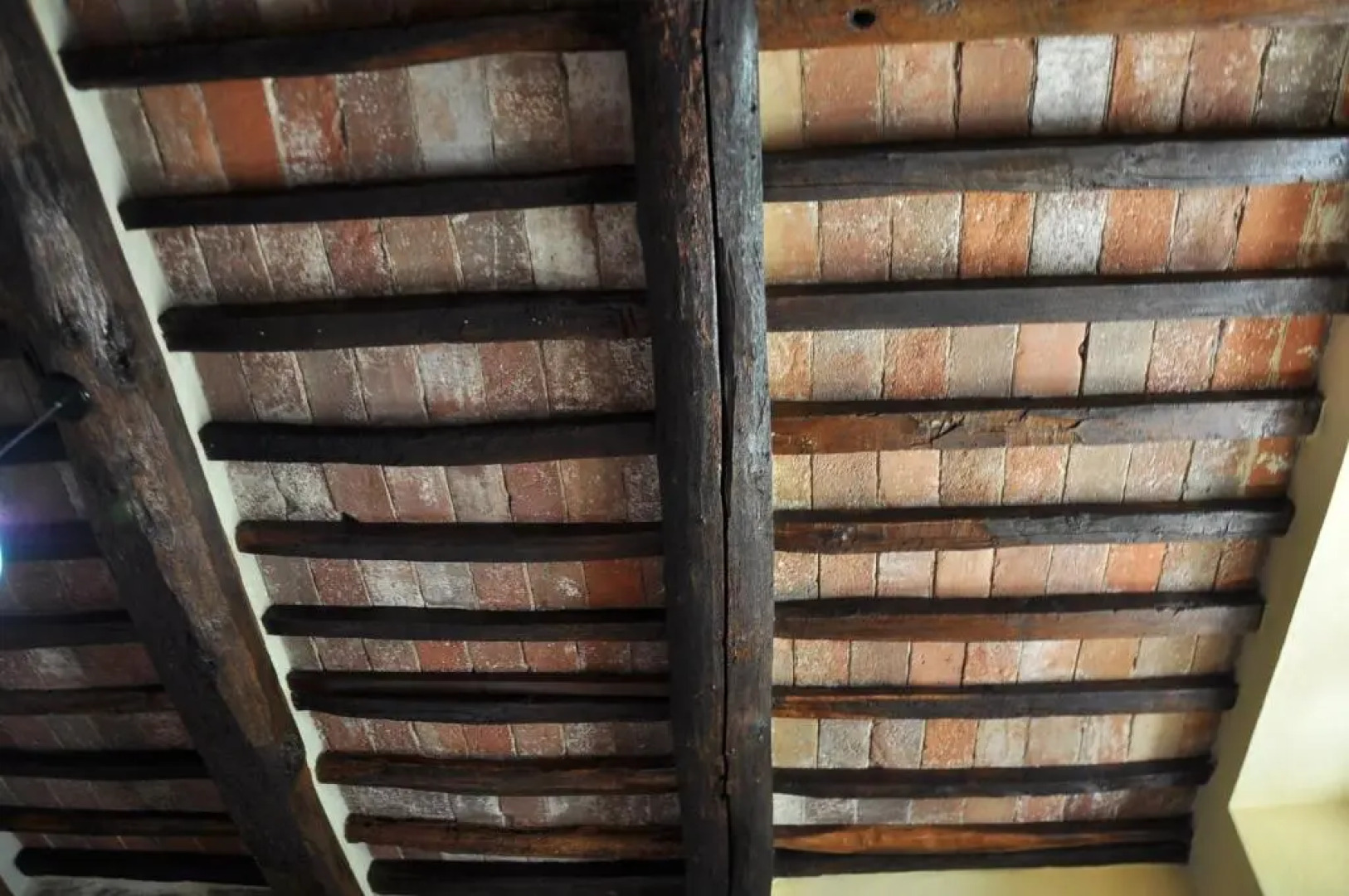 Country House Podere Casorbica