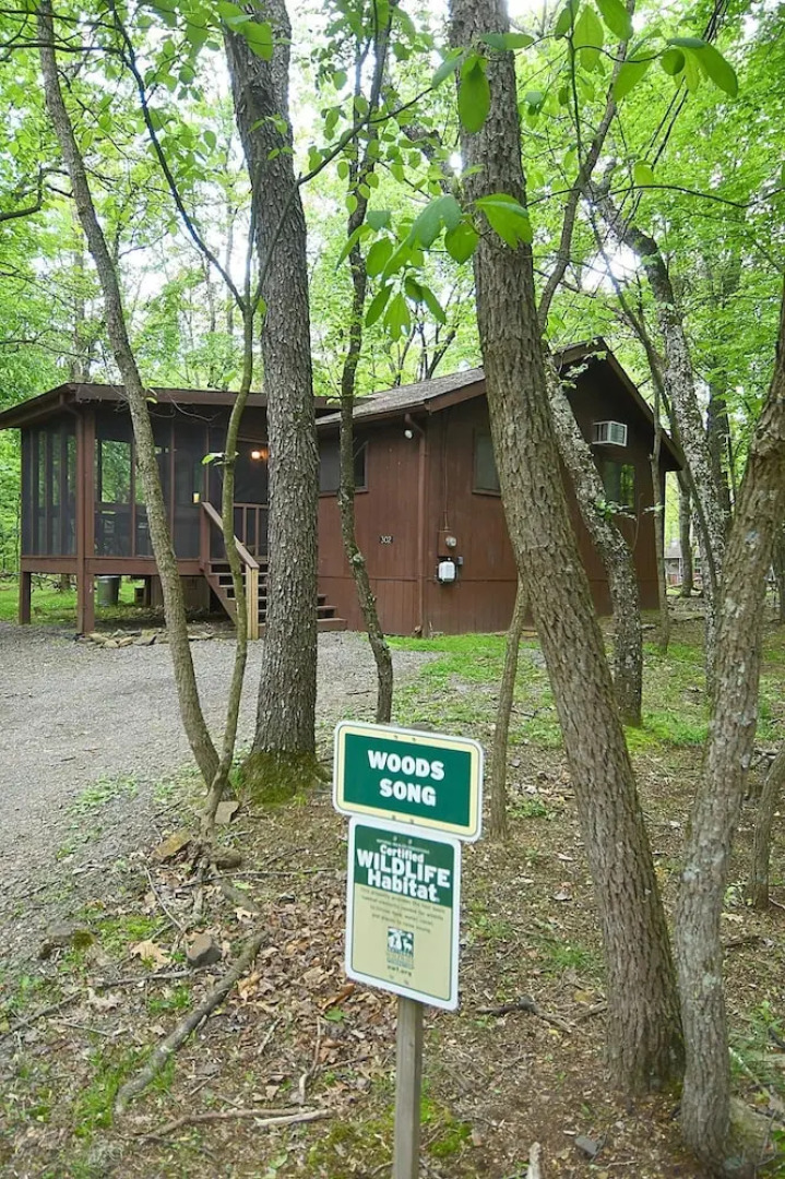 Woods Song - Natures Promise