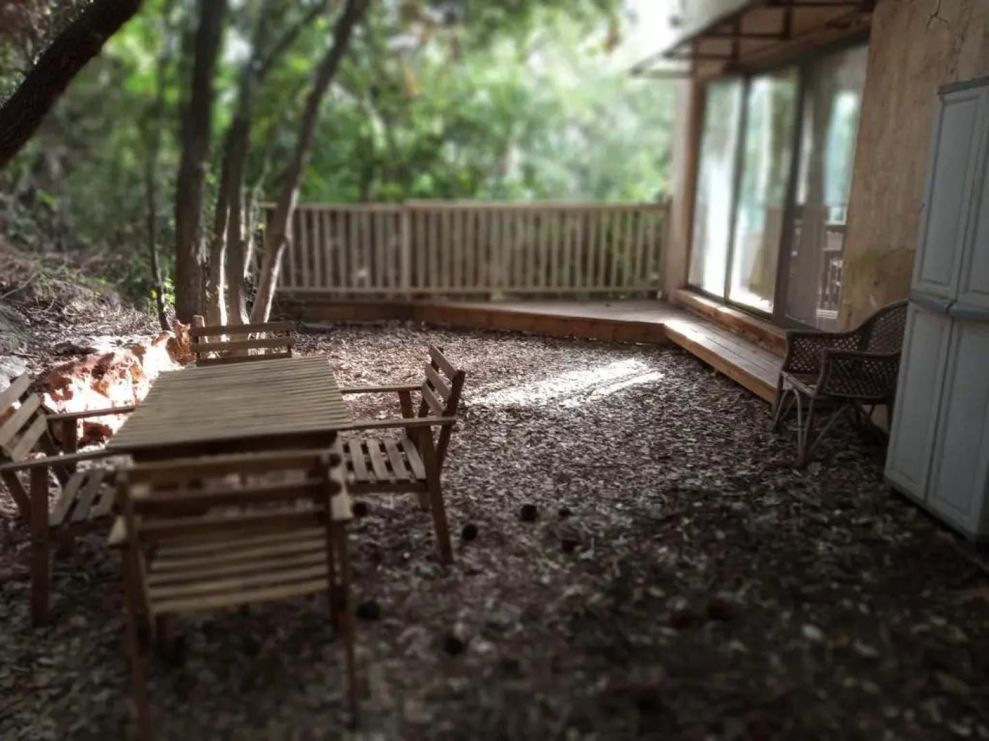 The House In The Oaks הבית באלונים