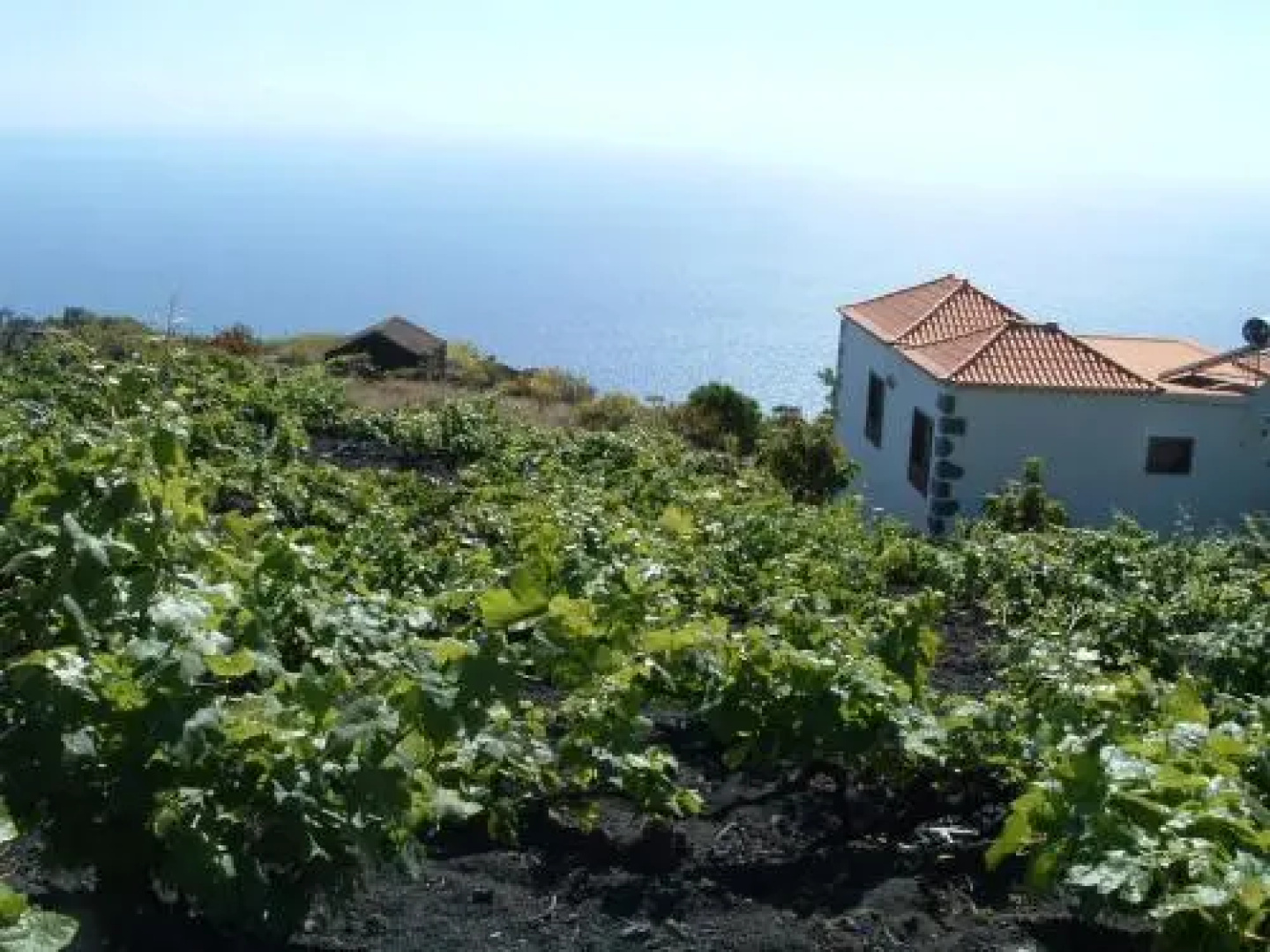 Casita las Viñas II