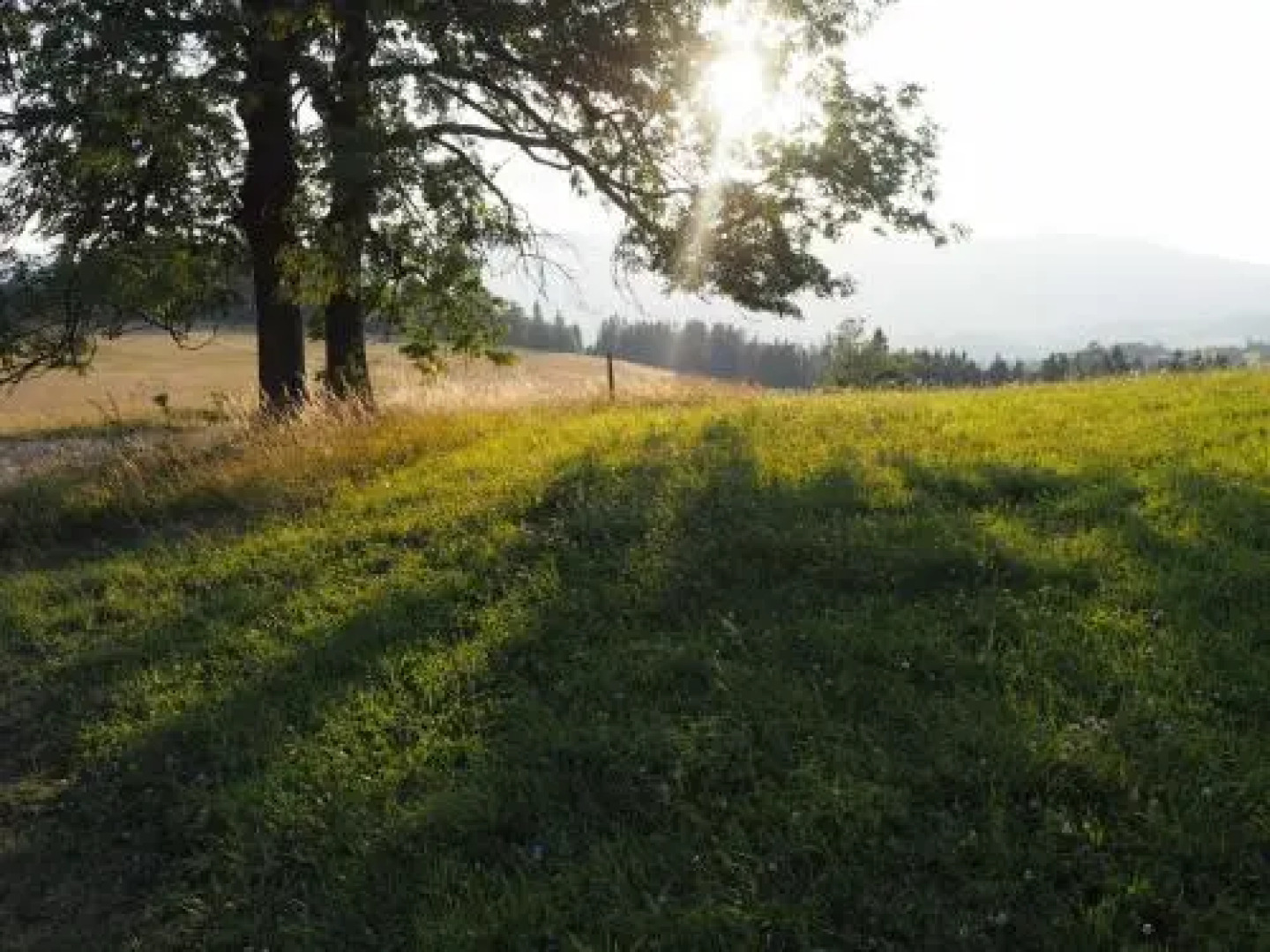 Penzion Staré Město