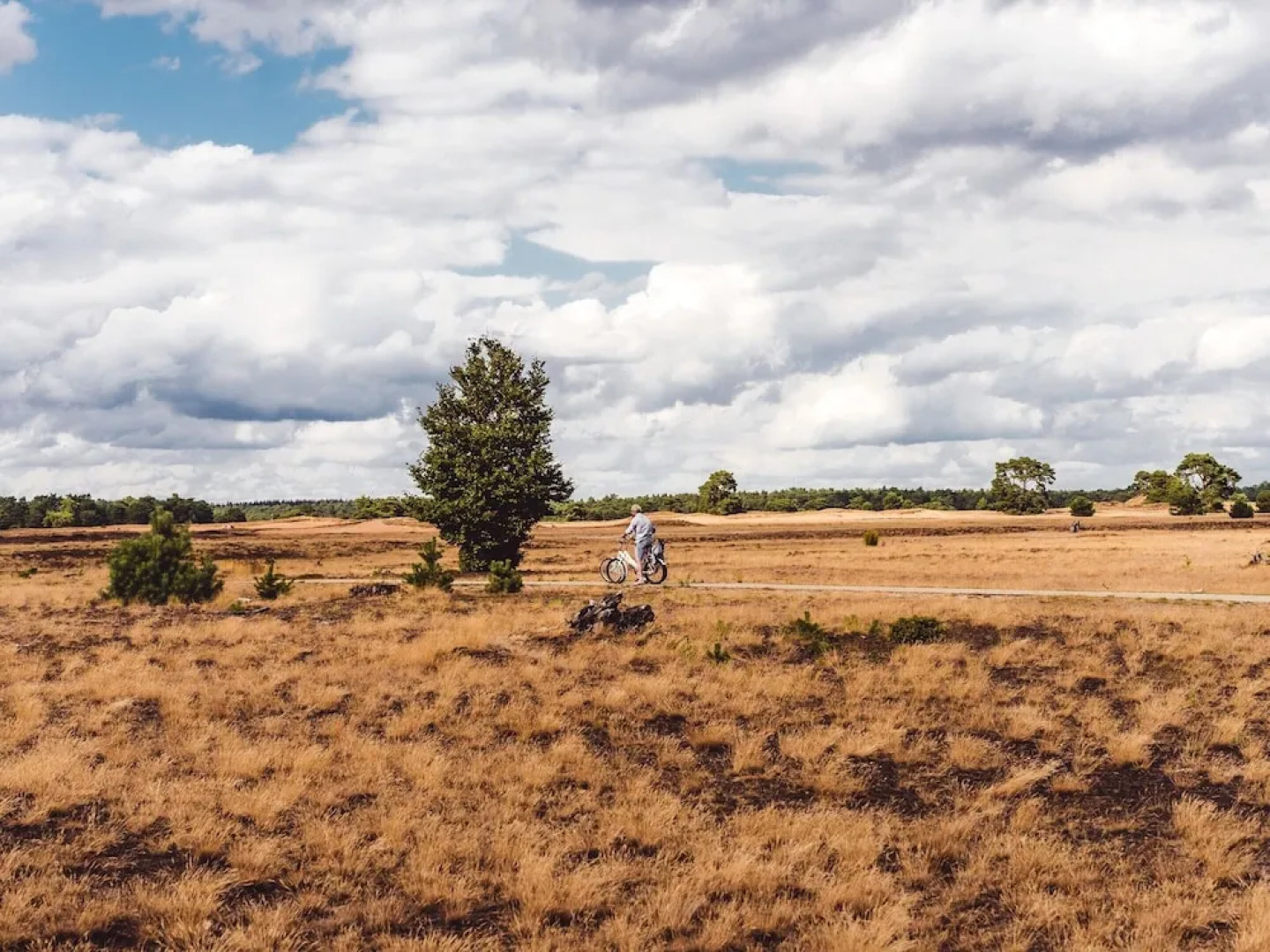 Chalet Near Trails & Town