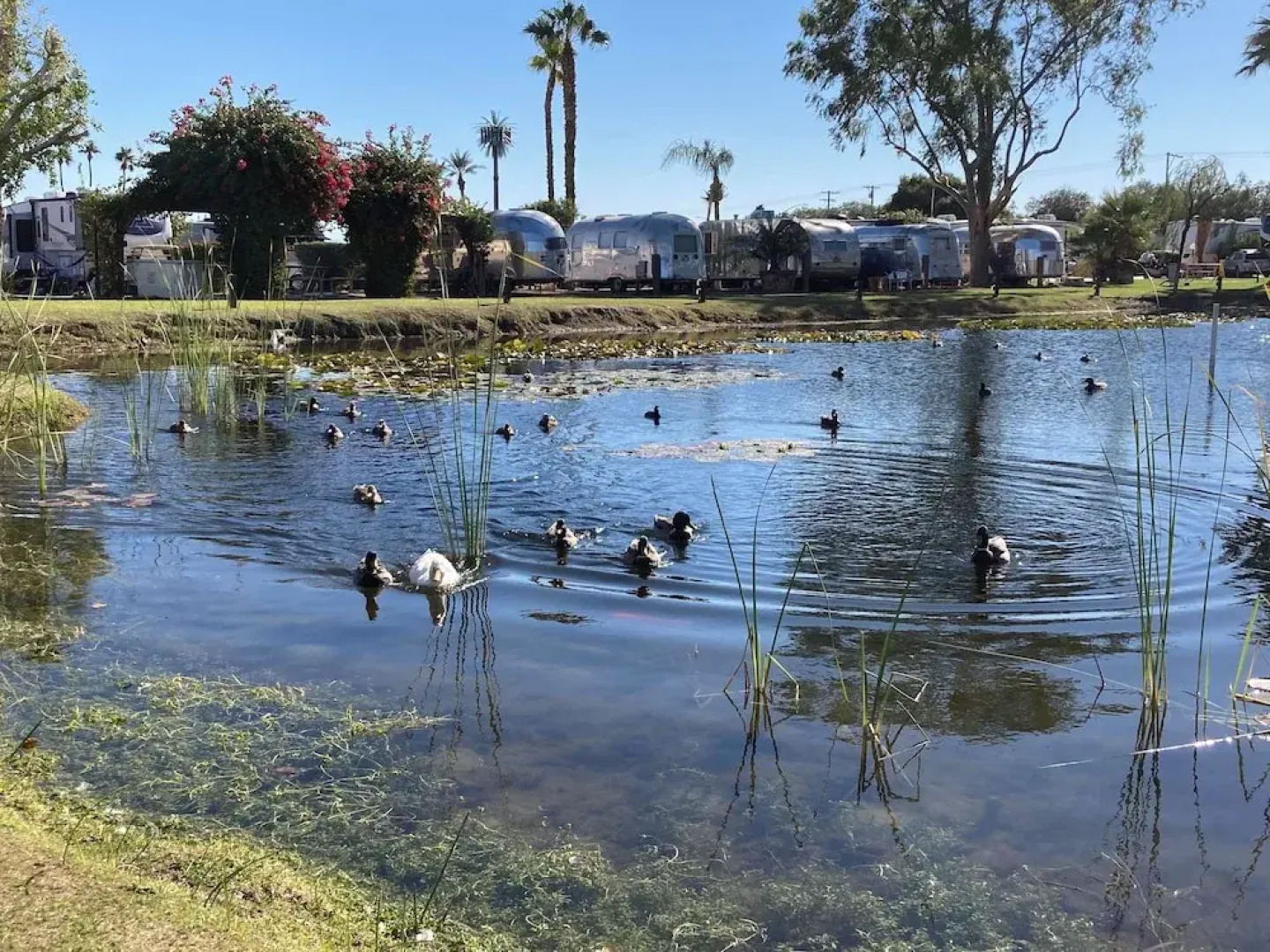 Shadow Hills RV Resort