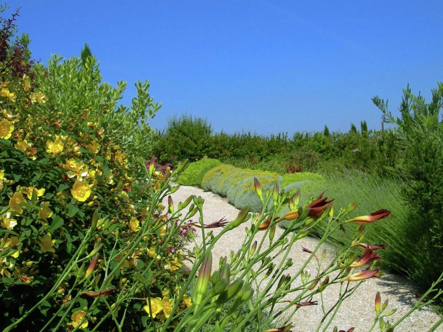 Luxurious Villa in Montelupone With Private Swimming Pool