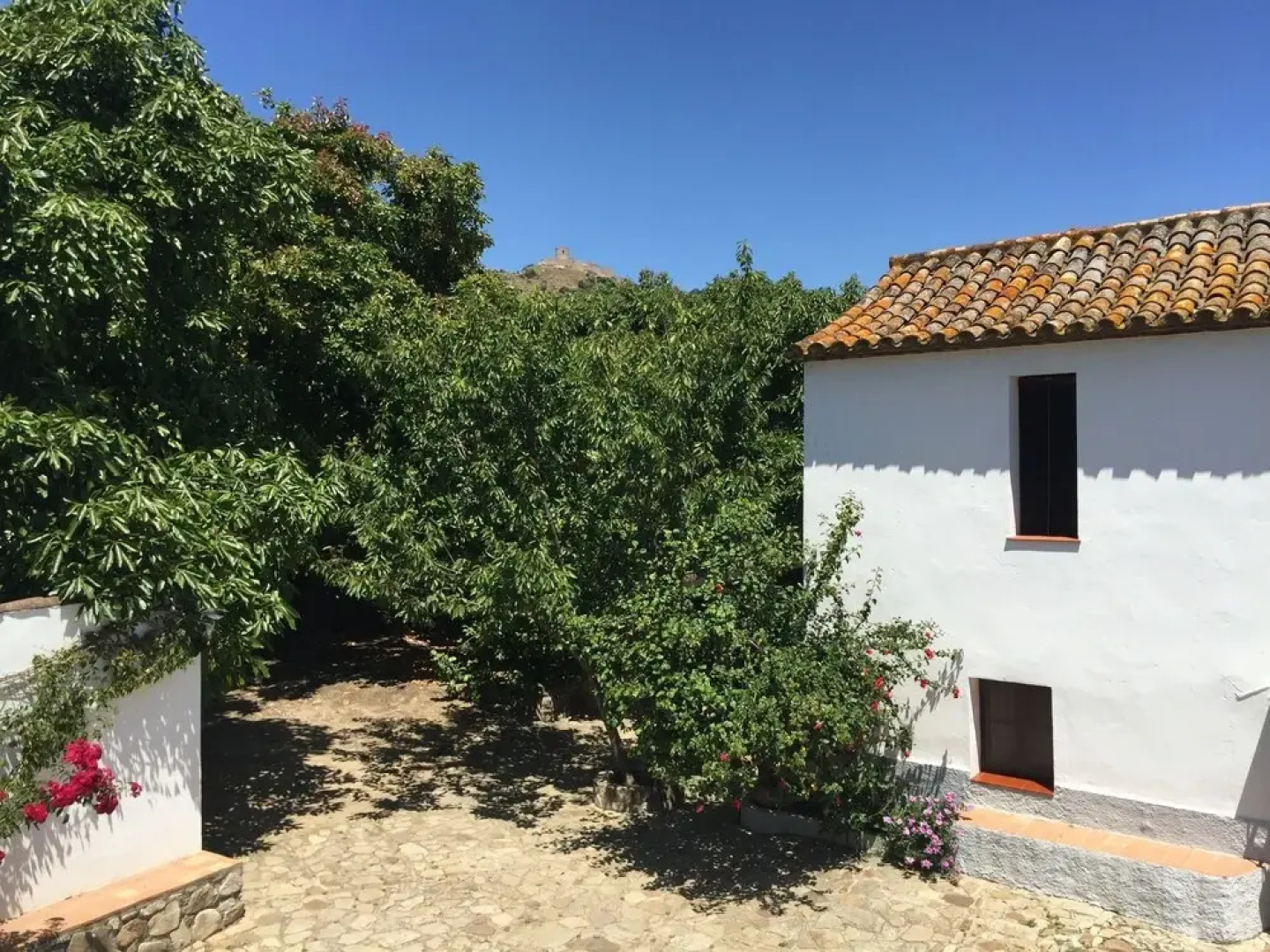 Quaint Holiday Home in Jimena de la Frontera With Terrace