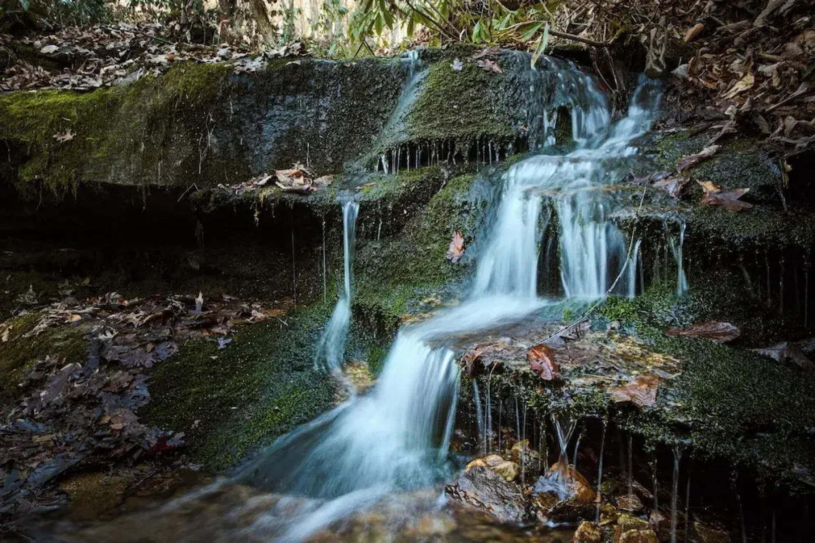 'peaceful Getaway' Penrose Cabin w/ Hot Tub & Pond