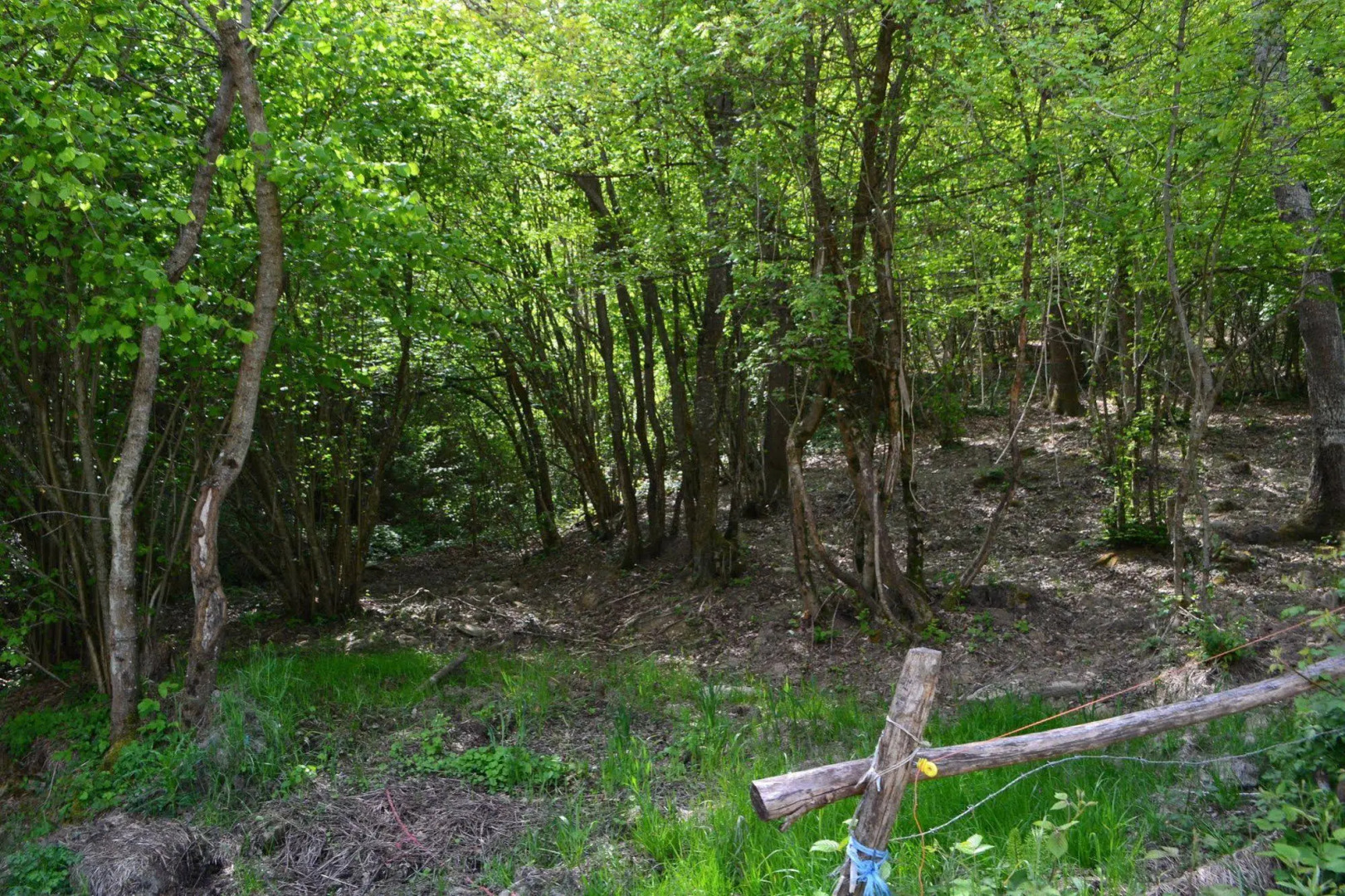 Sant'Apollinare Farm House