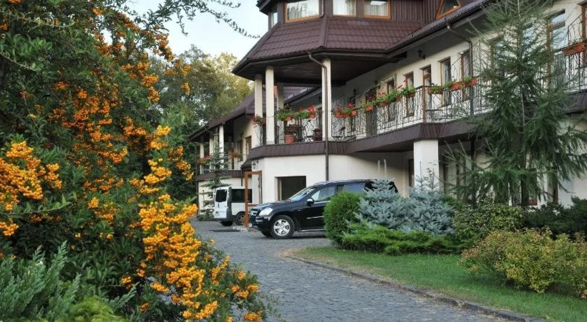 Troyanda Karpat