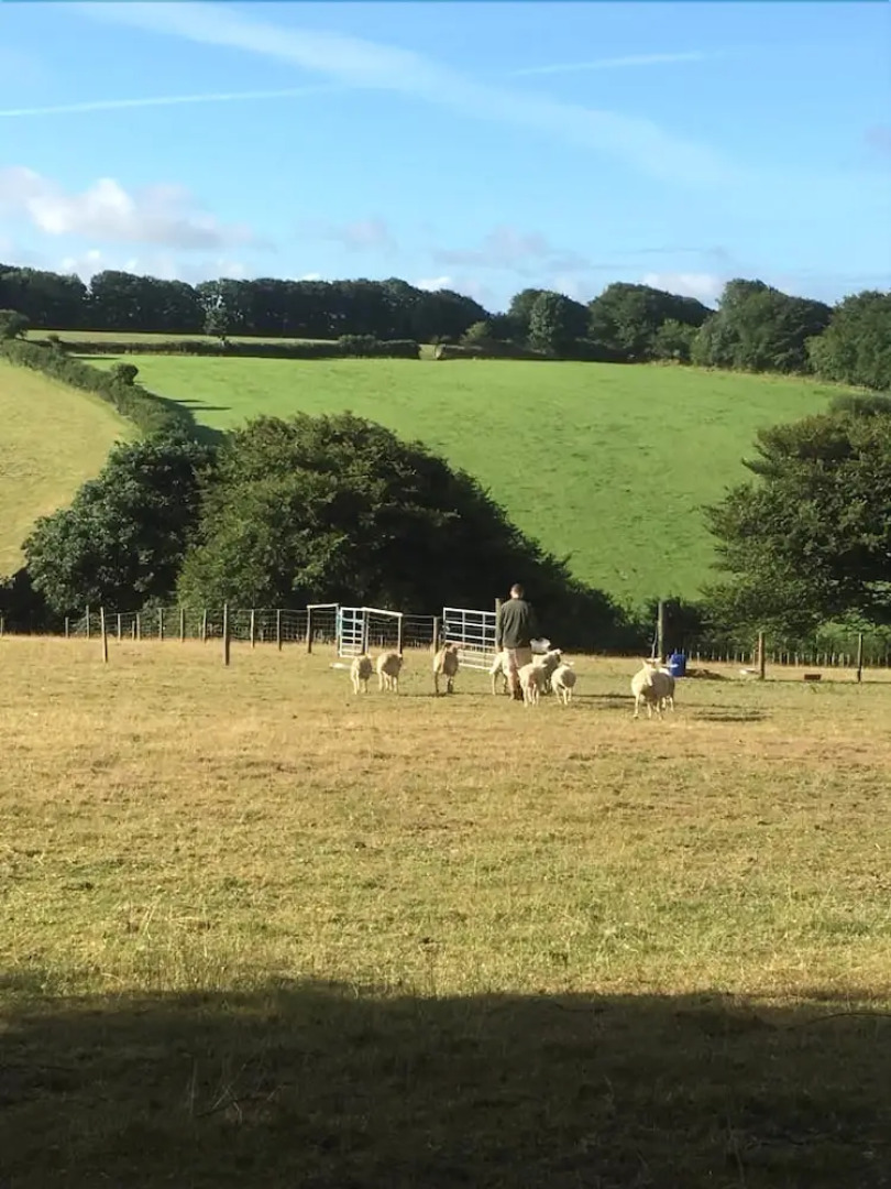 Higher Culloden Farm