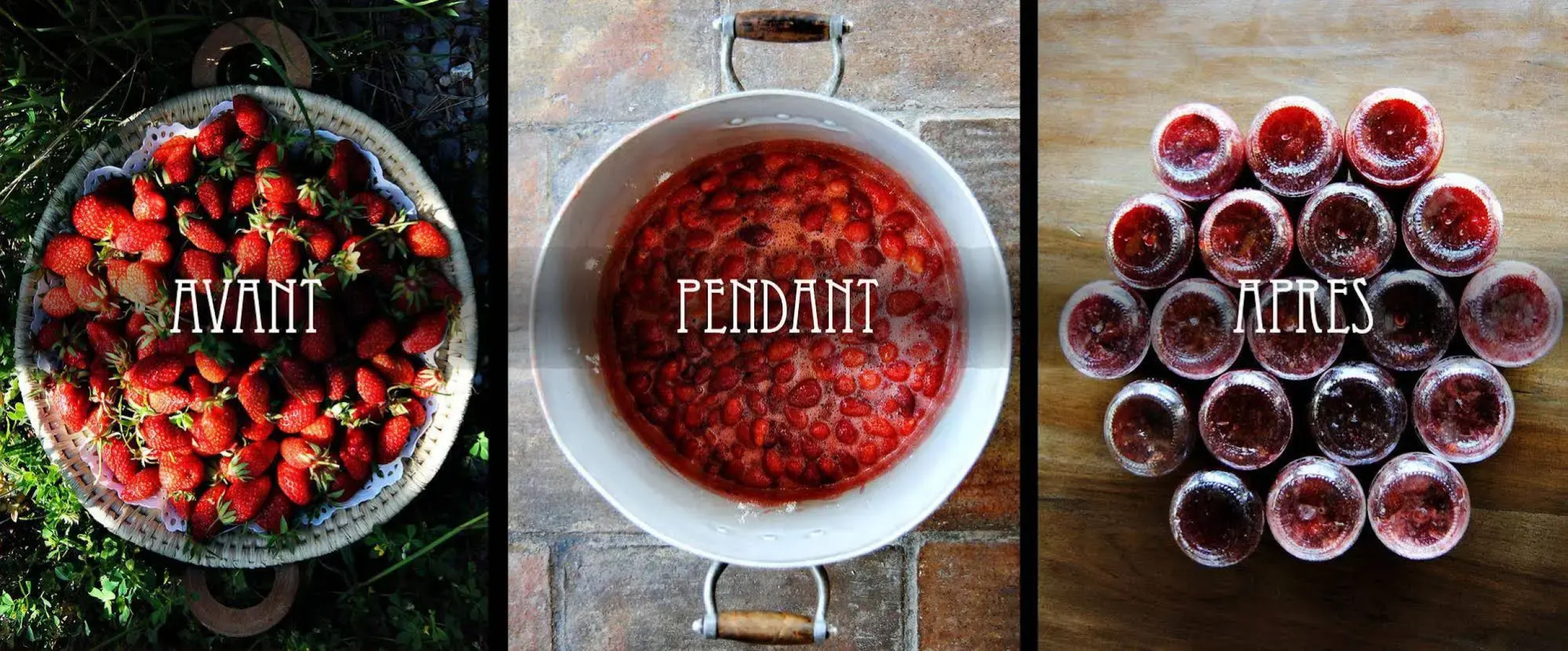 LOrangeraie de la Baronne