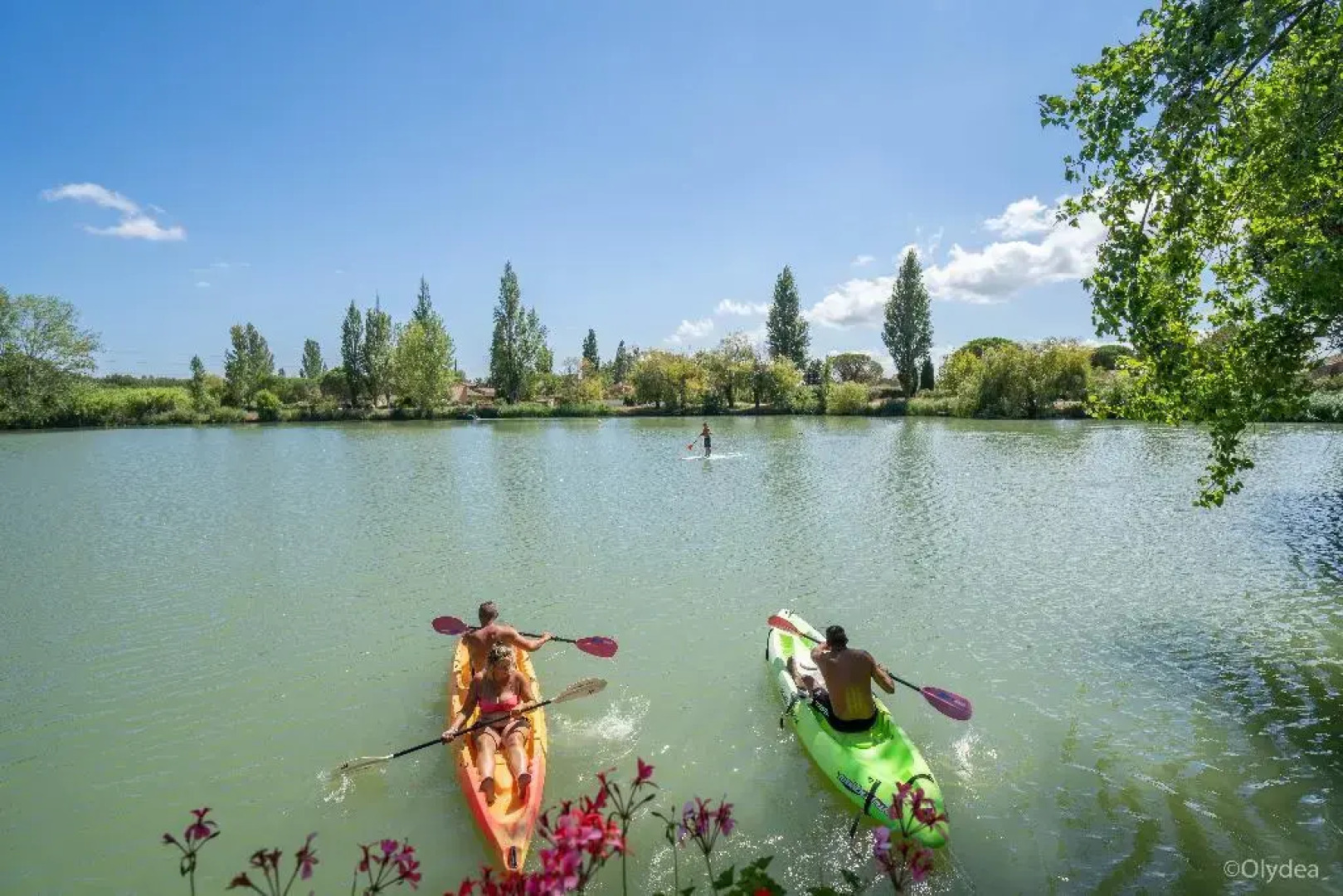 Adonis Arles by Olydea